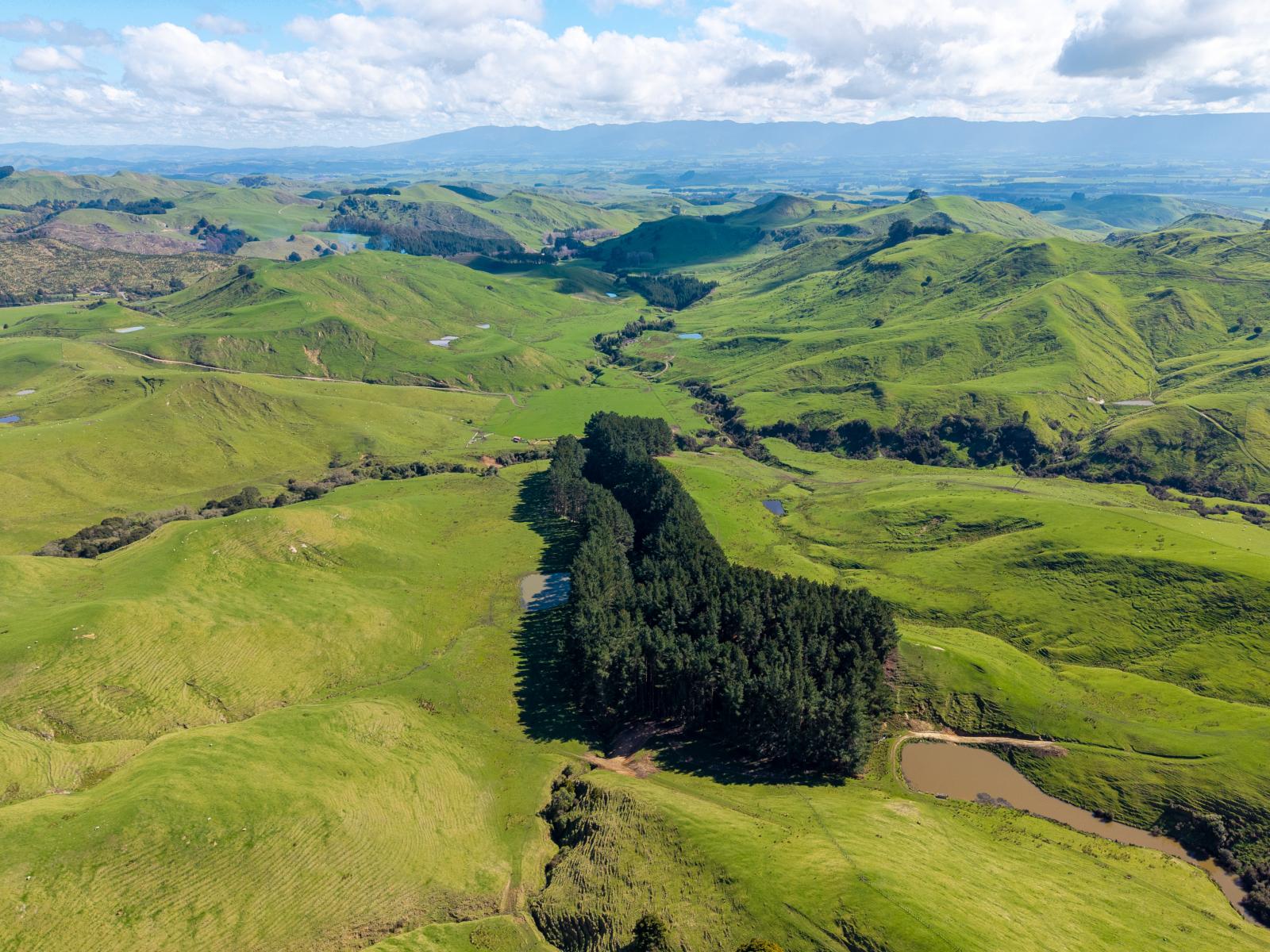 558 Pukeatua Road, Dannevirke