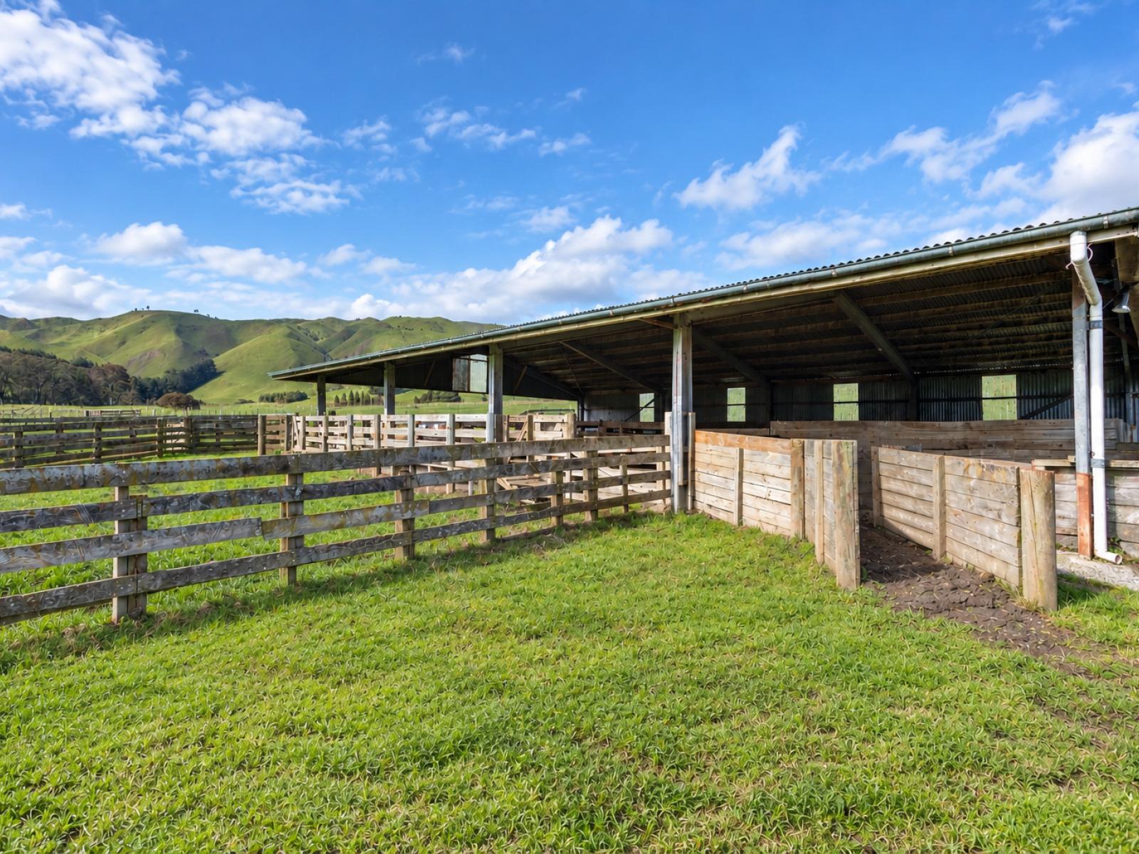 558 Pukeatua Road, Dannevirke