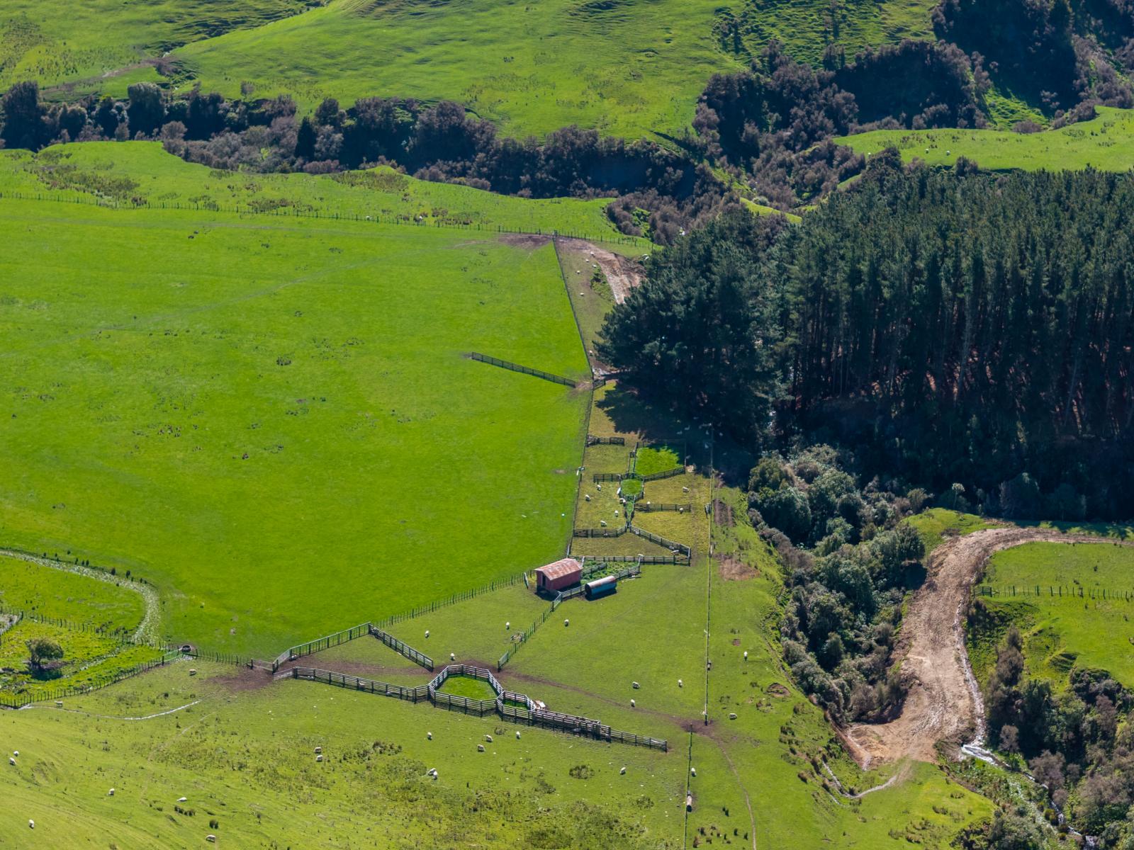 558 Pukeatua Road and 235 Otope Road, Dannevirke