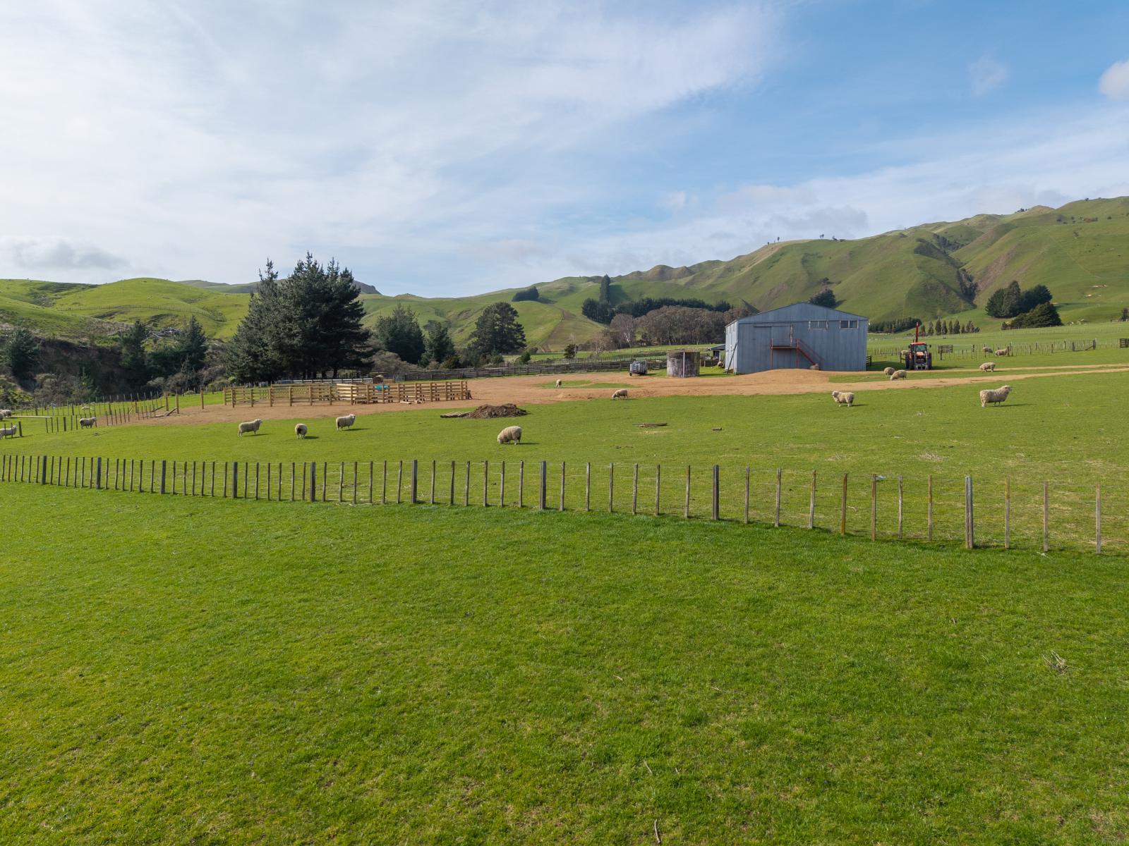 558 Pukeatua Road and 235 Otope Road, Dannevirke