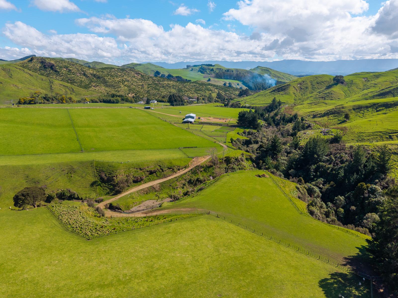 558 Pukeatua Road and 235 Otope Road, Dannevirke
