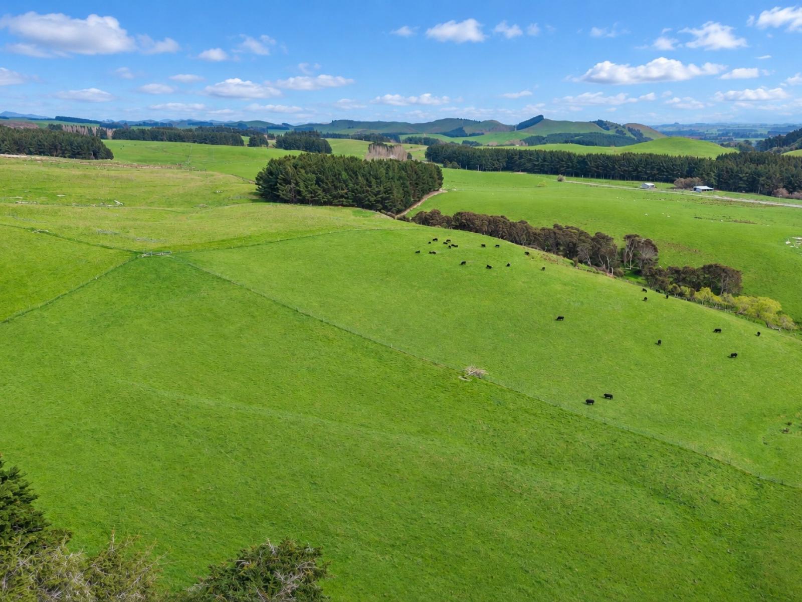 558 Pukeatua Road and 235 Otope Road, Dannevirke