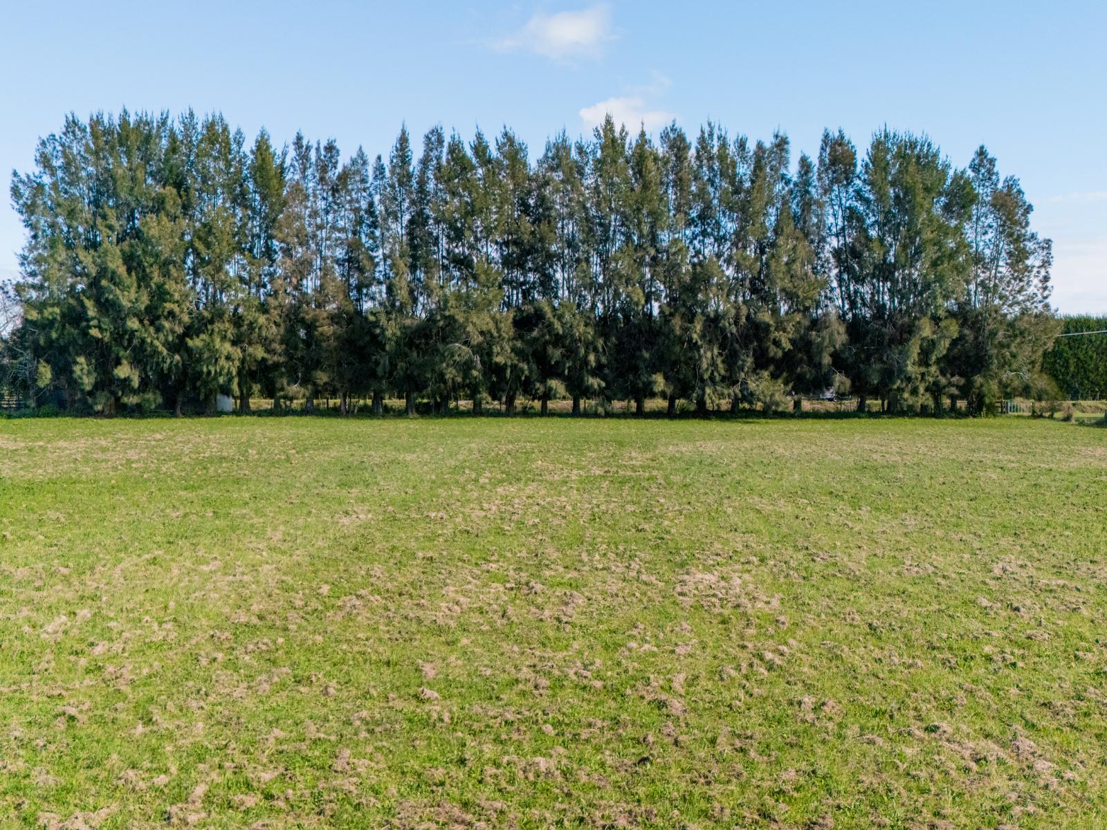 59 Macdonald Road, Te Teko