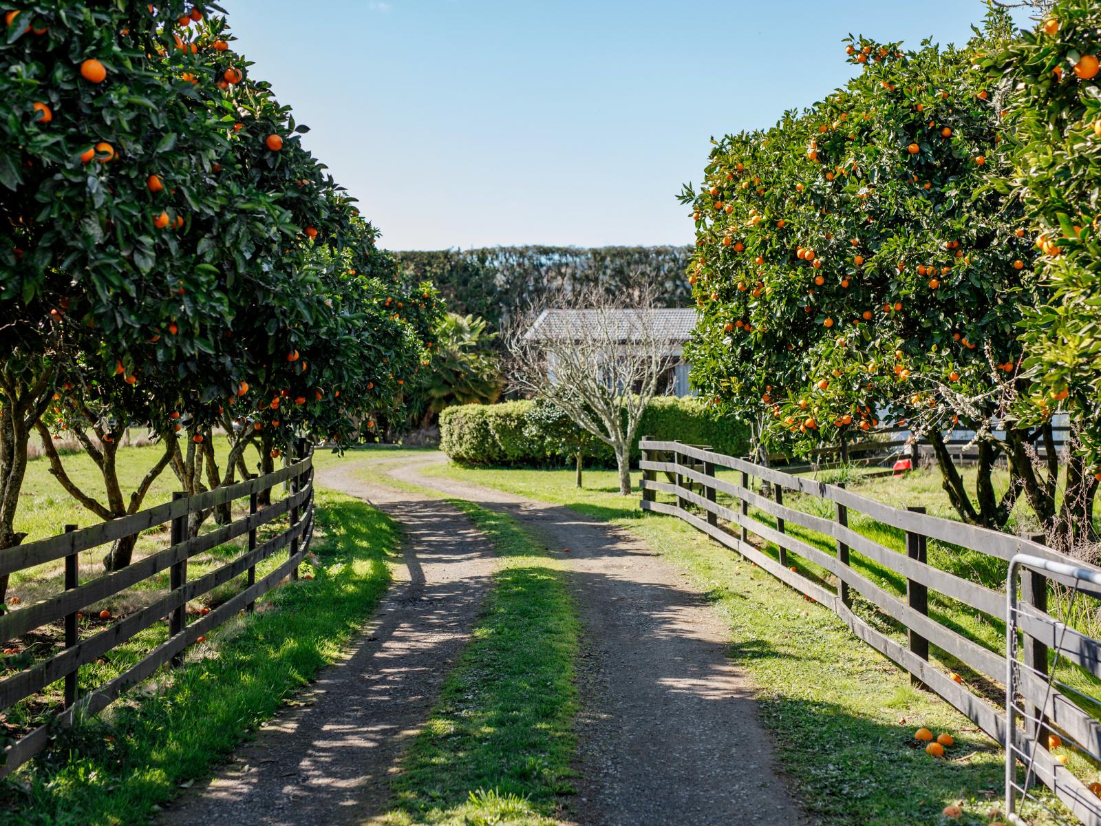 59 Macdonald Road, Te Teko