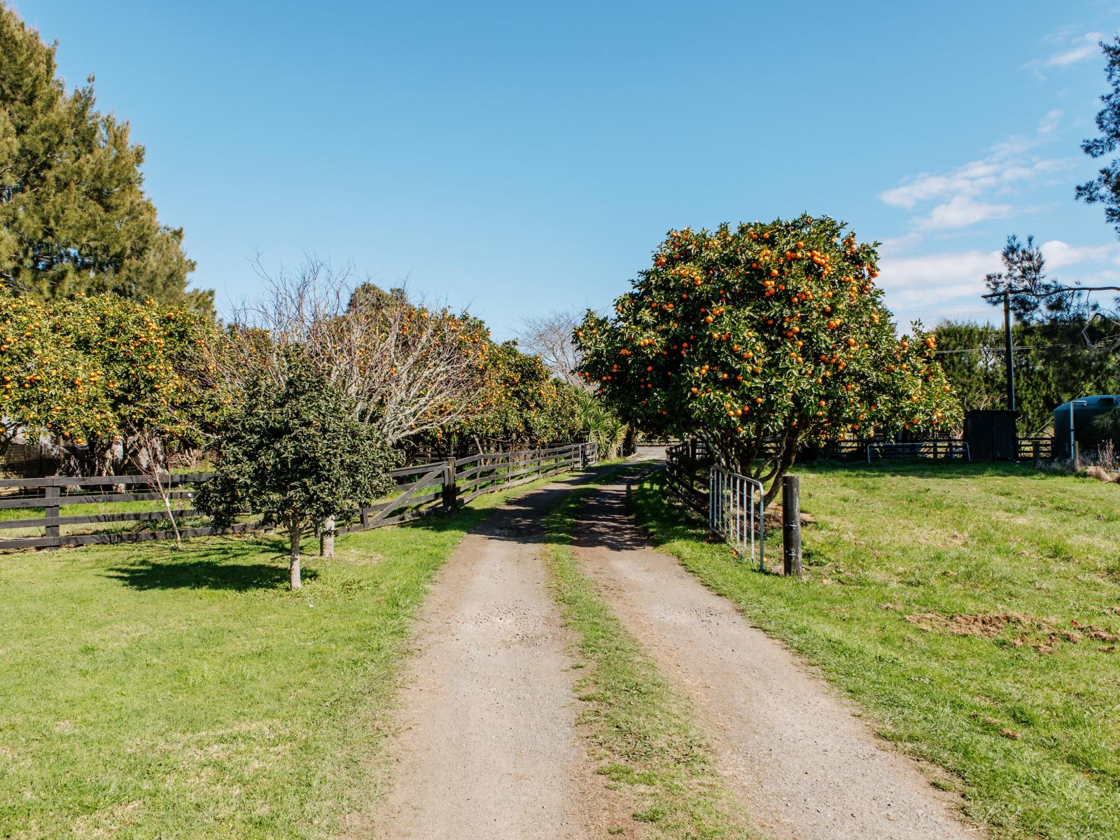 59 Macdonald Road, Te Teko