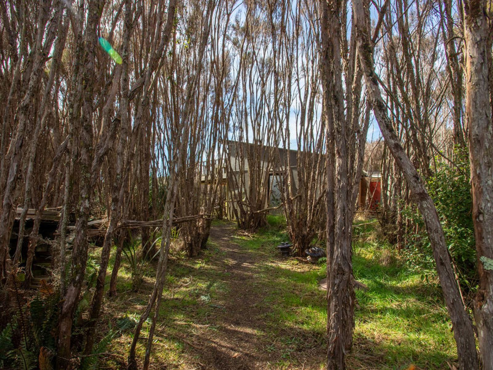 8 Mead Lane, Horopito 