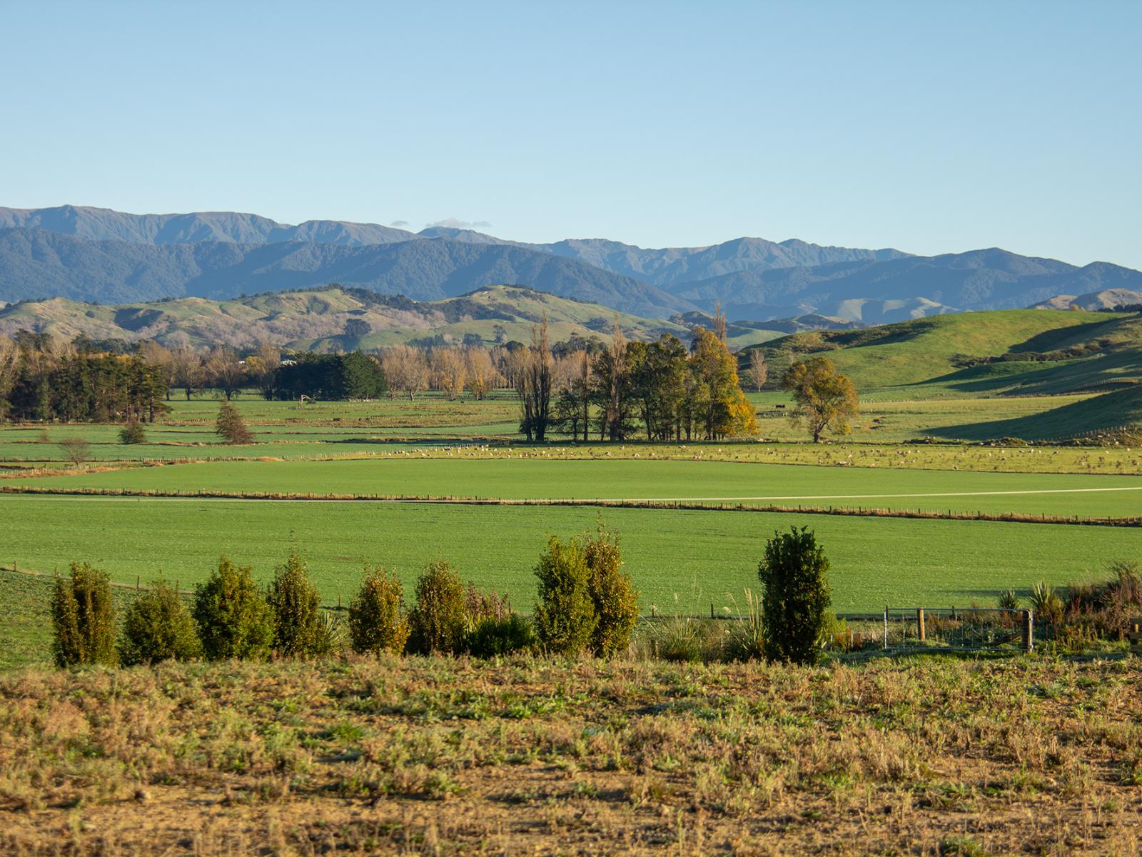 Lot 2 Bluff Rangitumau Road, Masterton