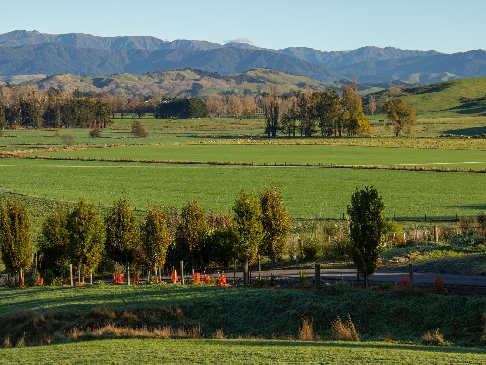 Lot 2 Bluff Rangitumau Road, Masterton
