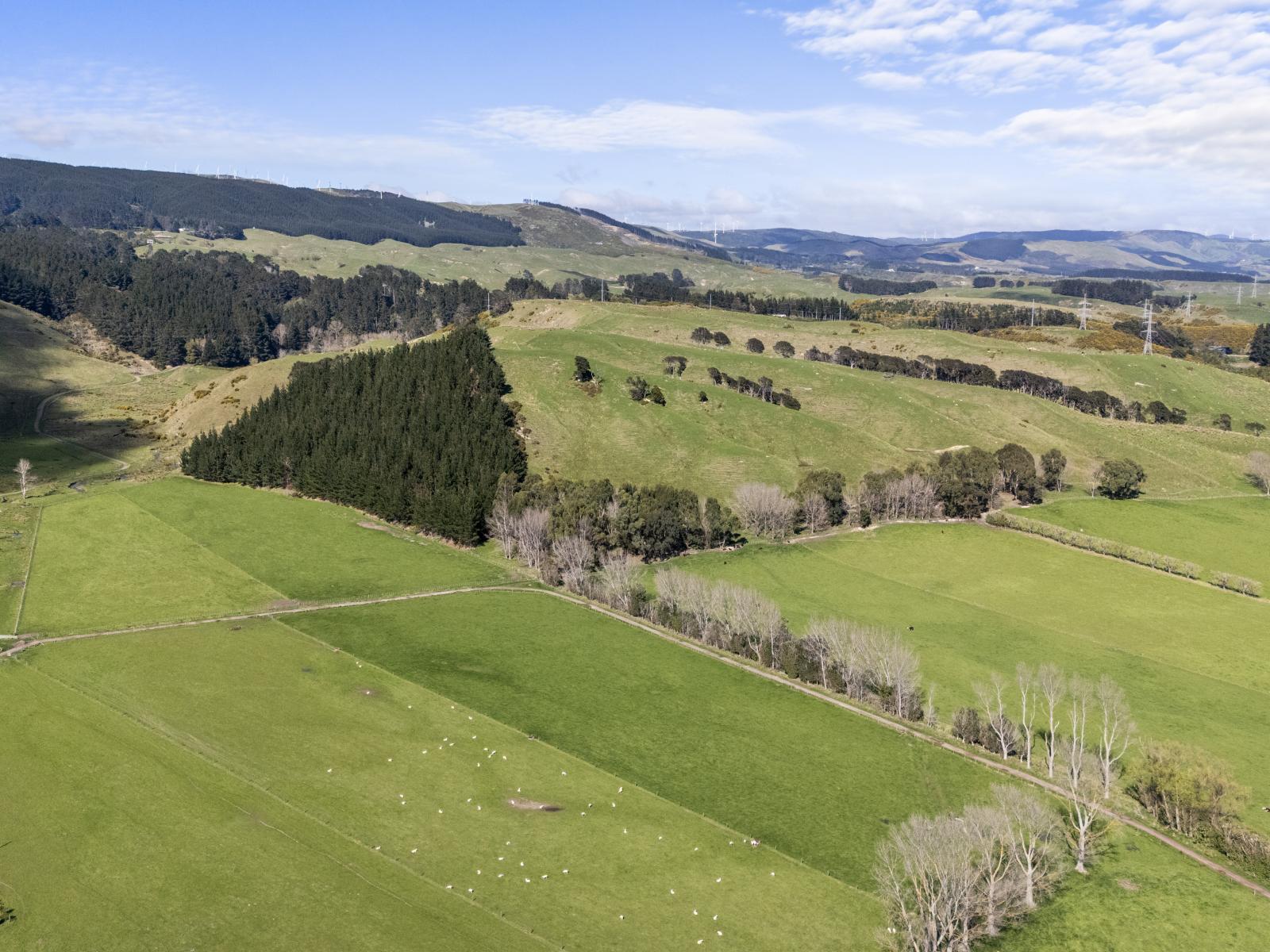 534 - 734 Fitzherbert Road East, Aokautere