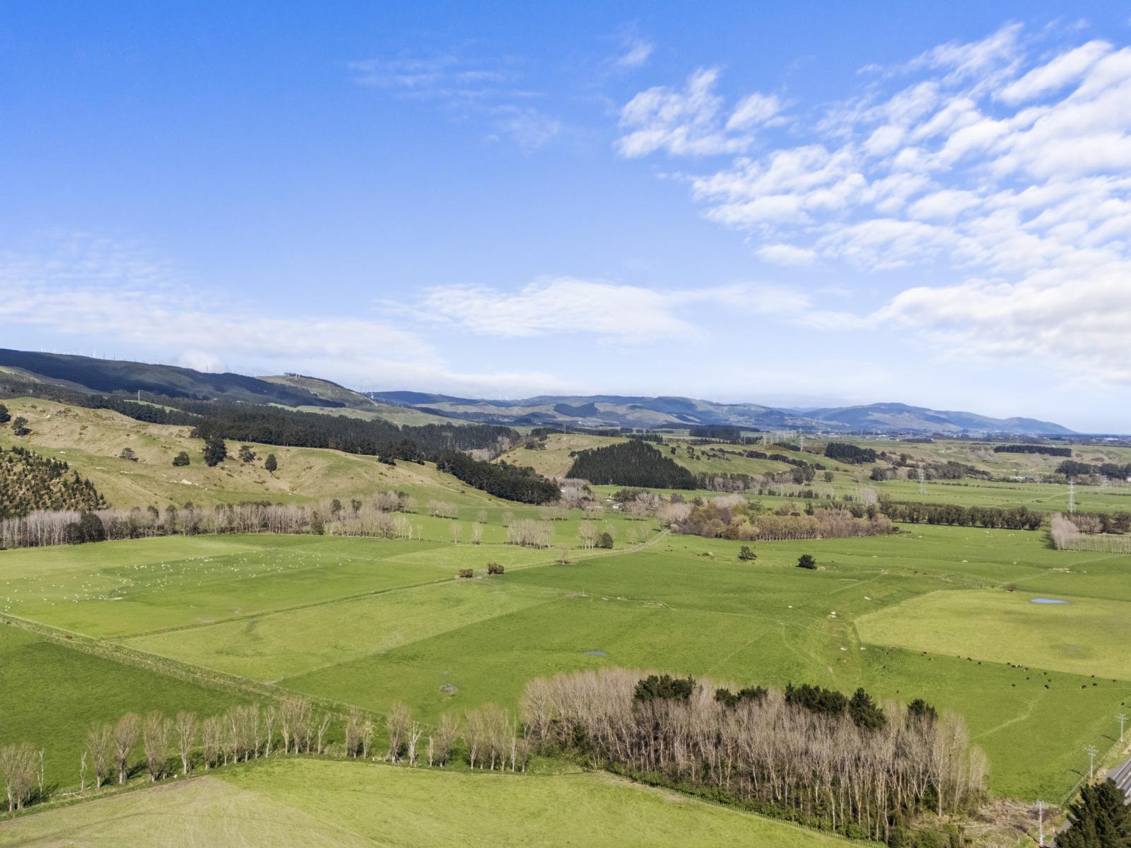 534 - 734 Fitzherbert Road East, Aokautere