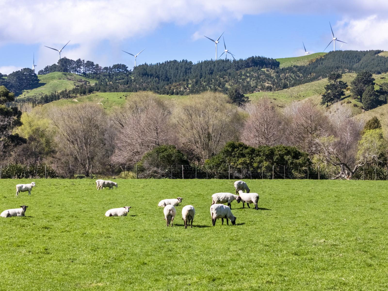 534 - 734 Fitzherbert Road East, Aokautere