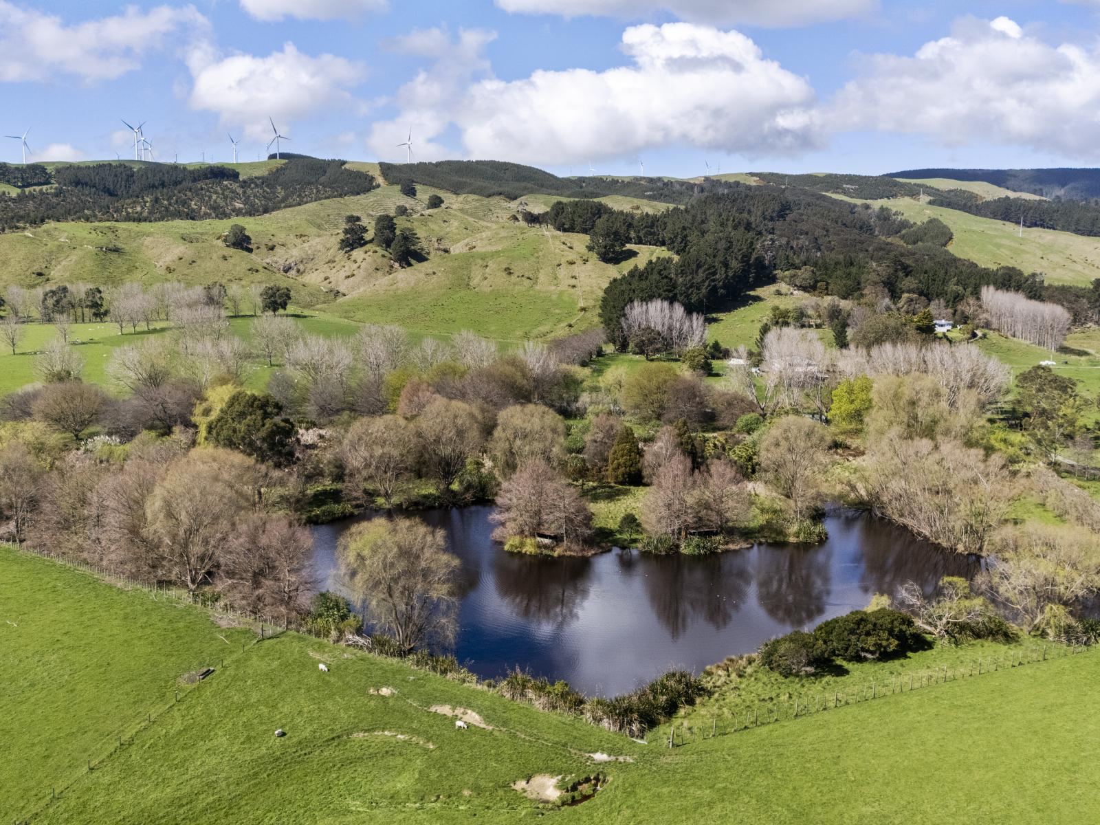 534 - 734 Fitzherbert Road East, Aokautere