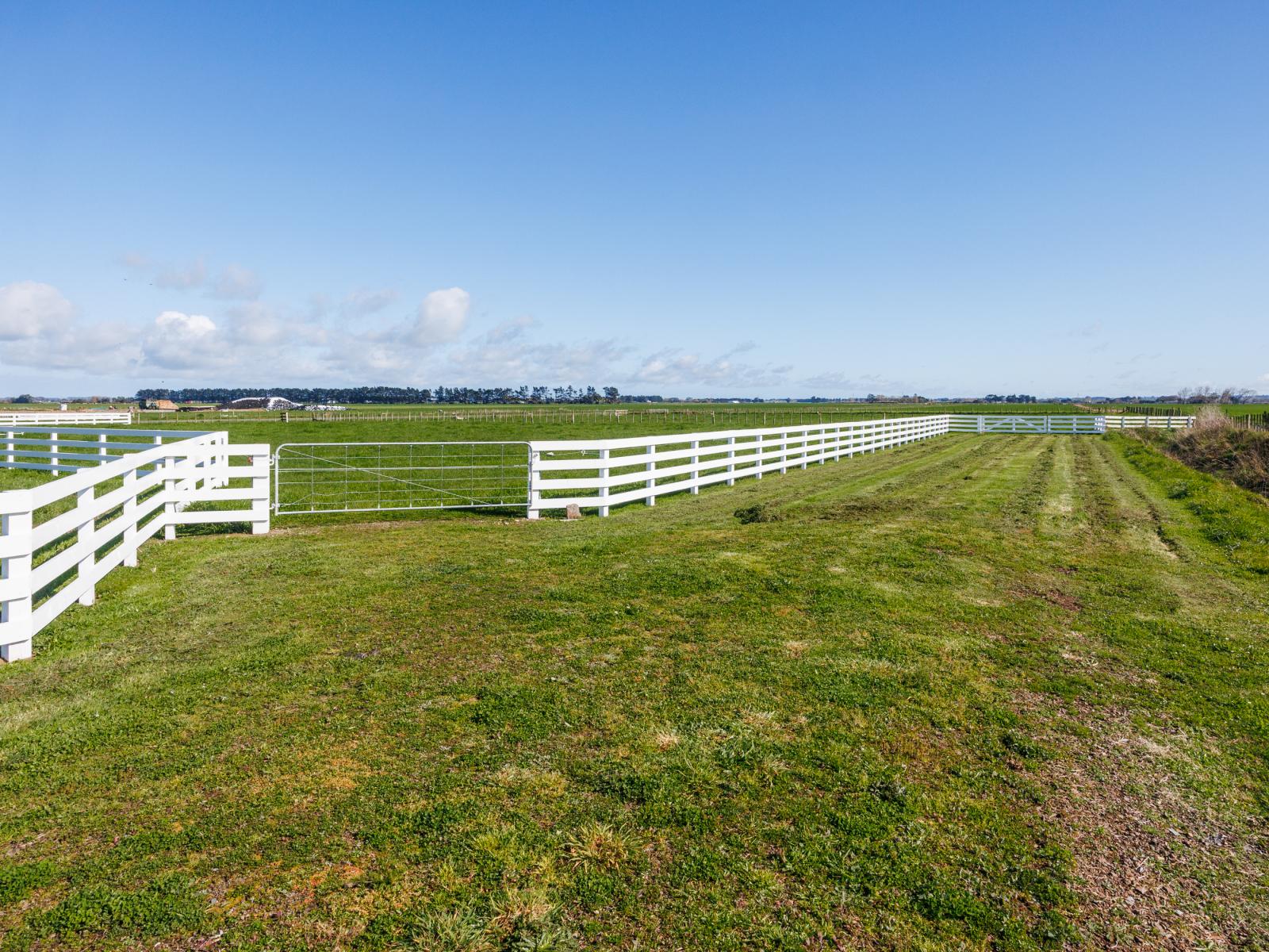 Lot 1 and 2, 964 Kairanga Bunnythorpe Road, Kairanga