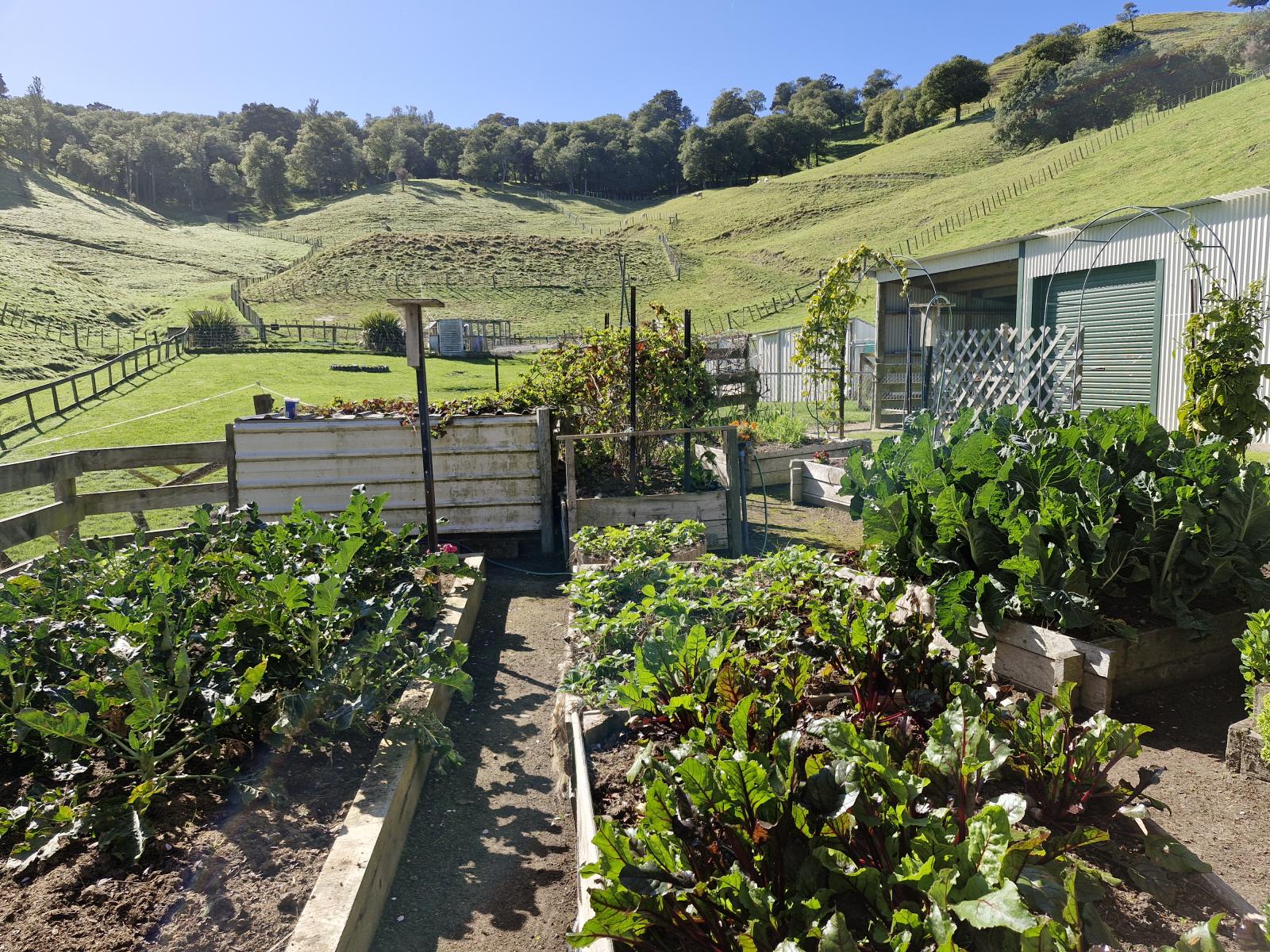 445 Anaroa Road, Raukawa 