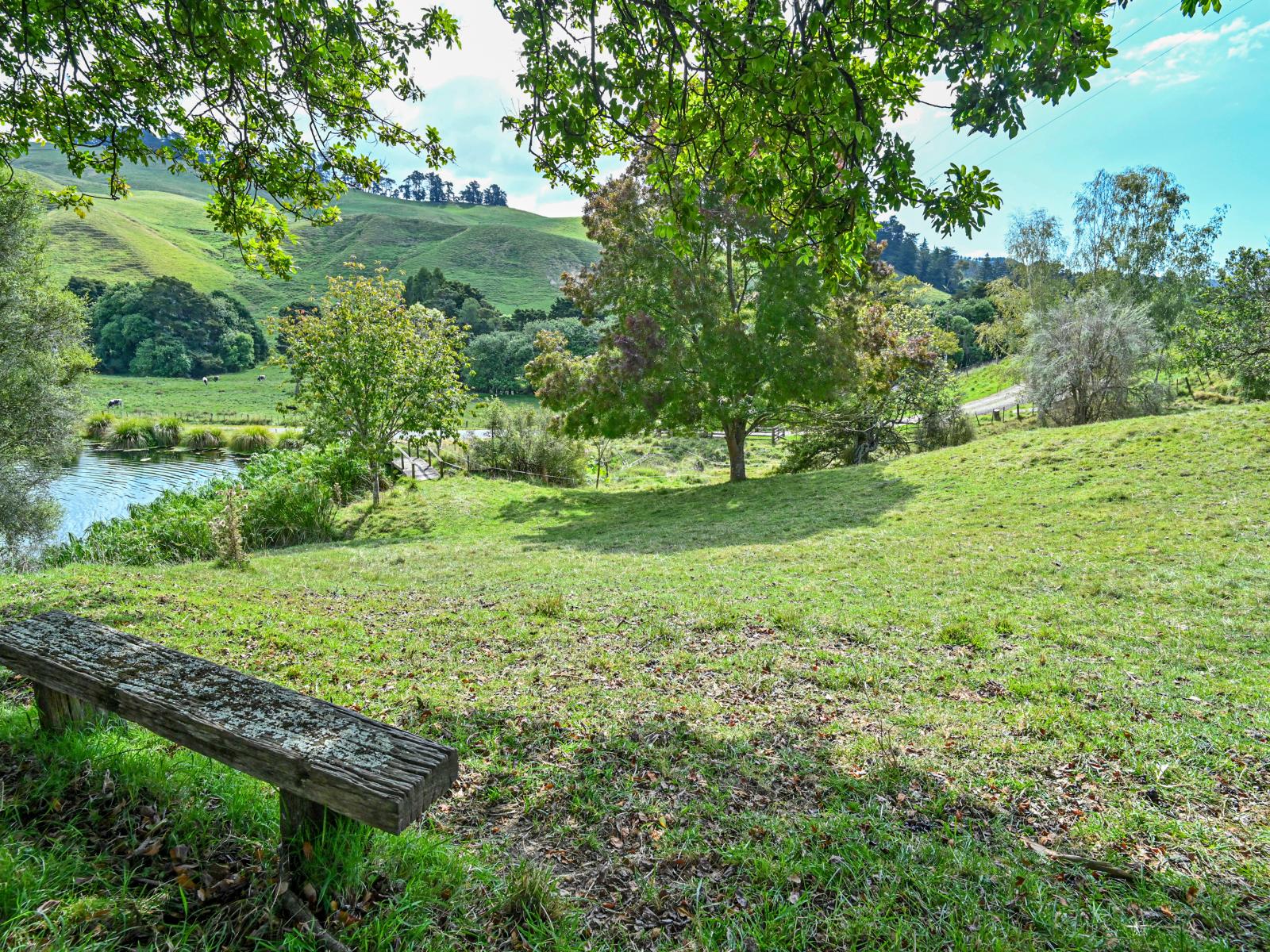 445 Anaroa Road, Raukawa 