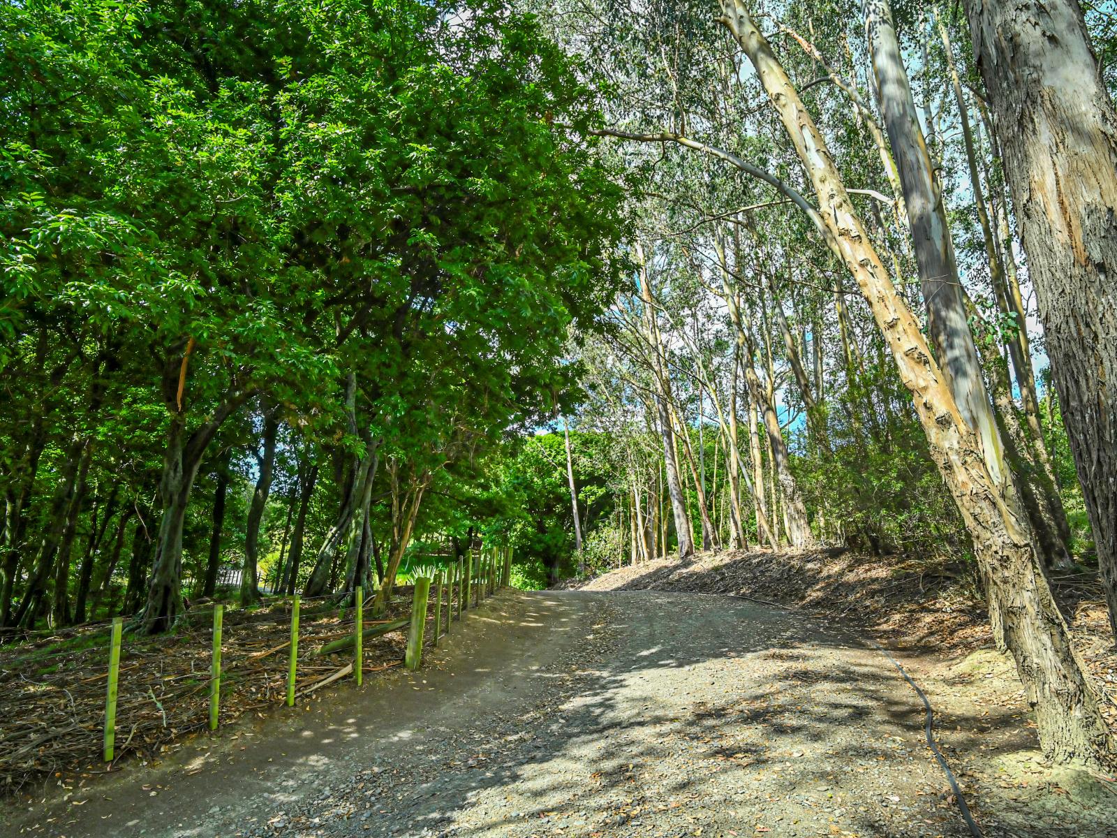 445 Anaroa Road, Raukawa 