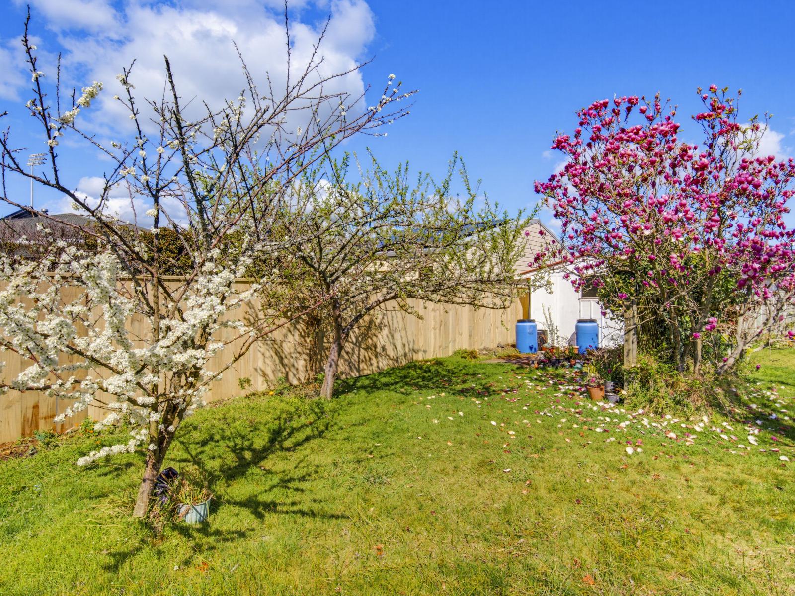 6A Trafalgar Street, Levin