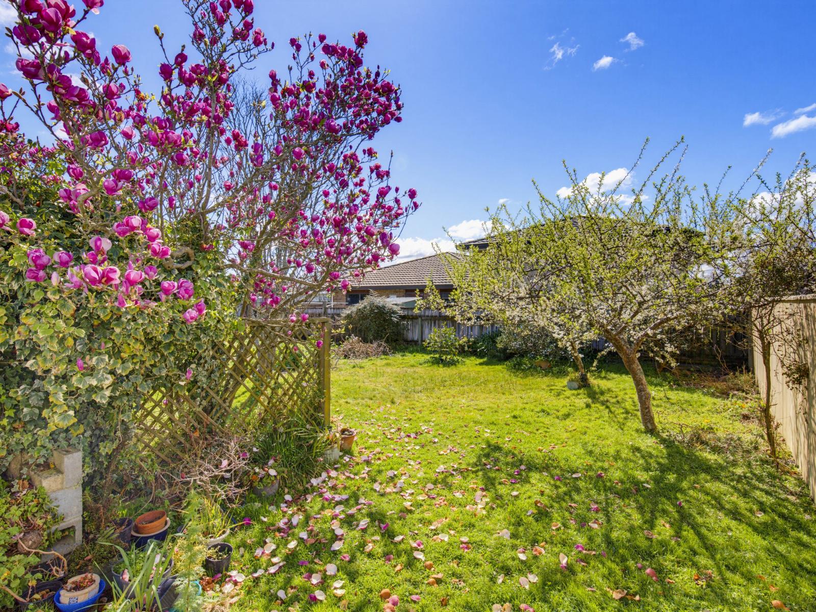 6A Trafalgar Street, Levin