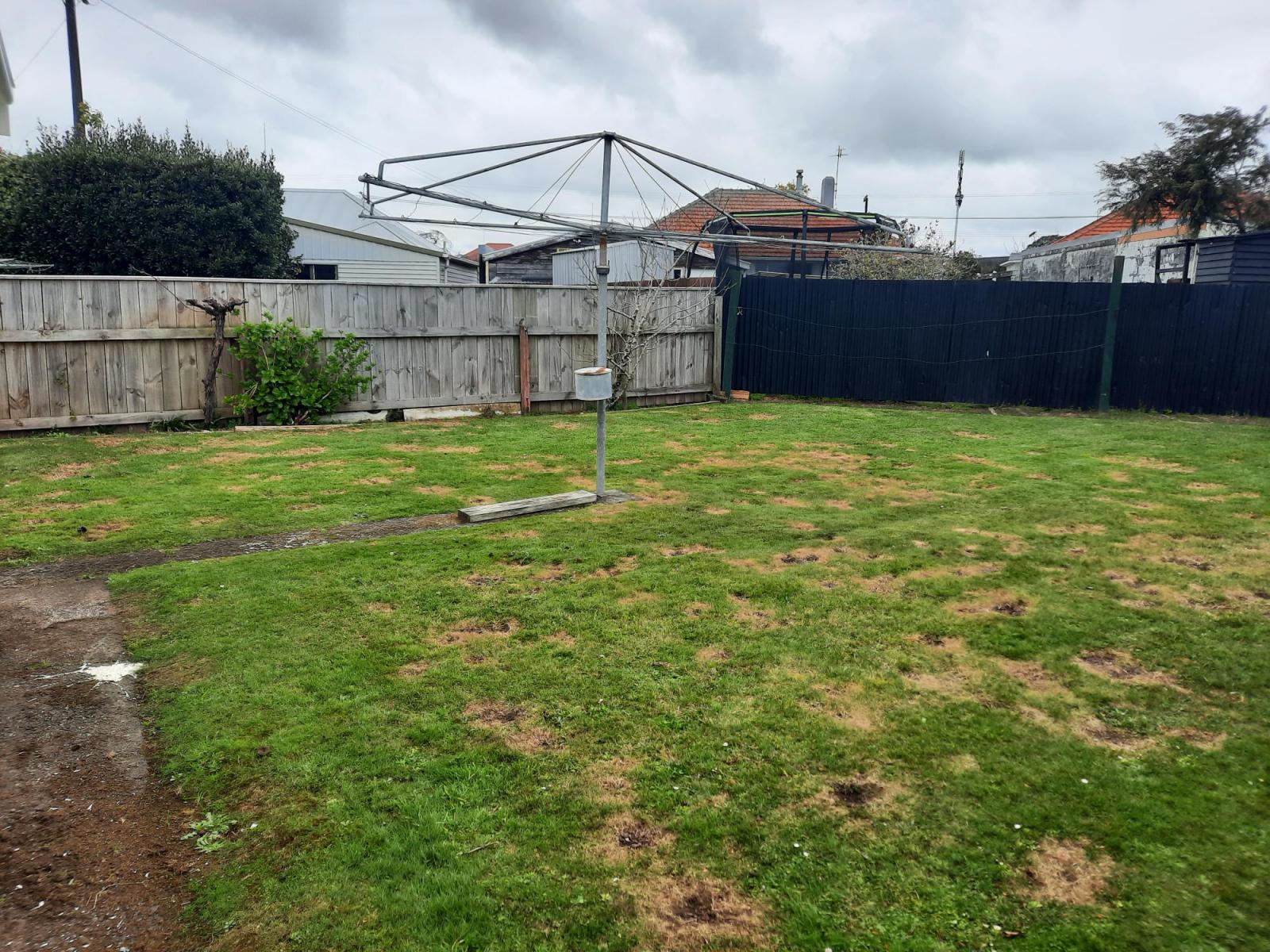 5 Raleigh Street, Vogeltown