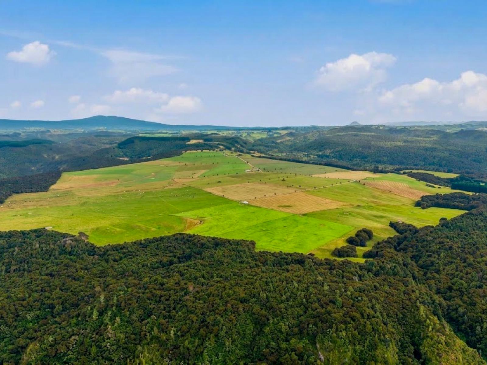 550 Puketapu Road, Marotiri