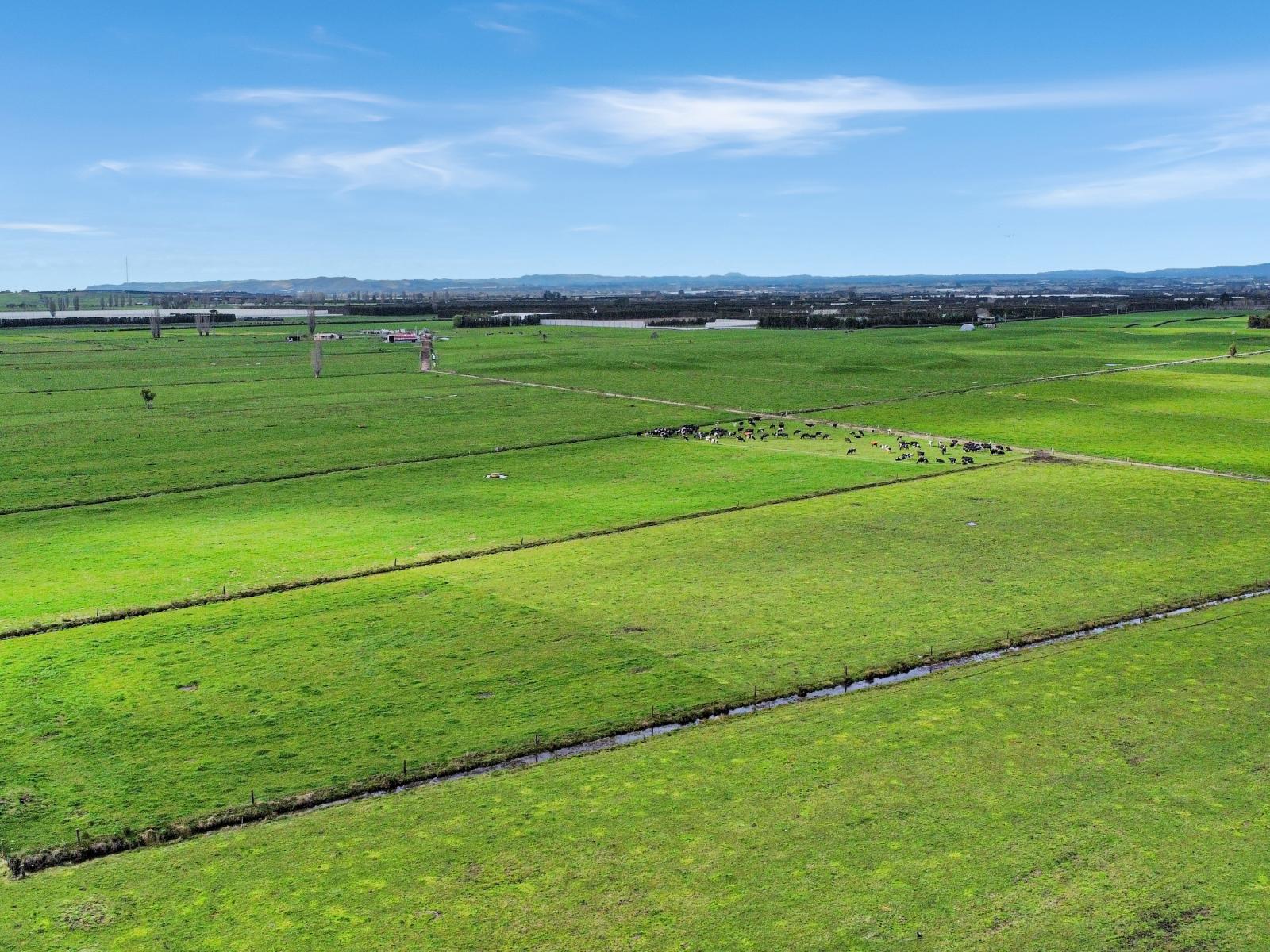 329 Kaituna Road, Paengaroa