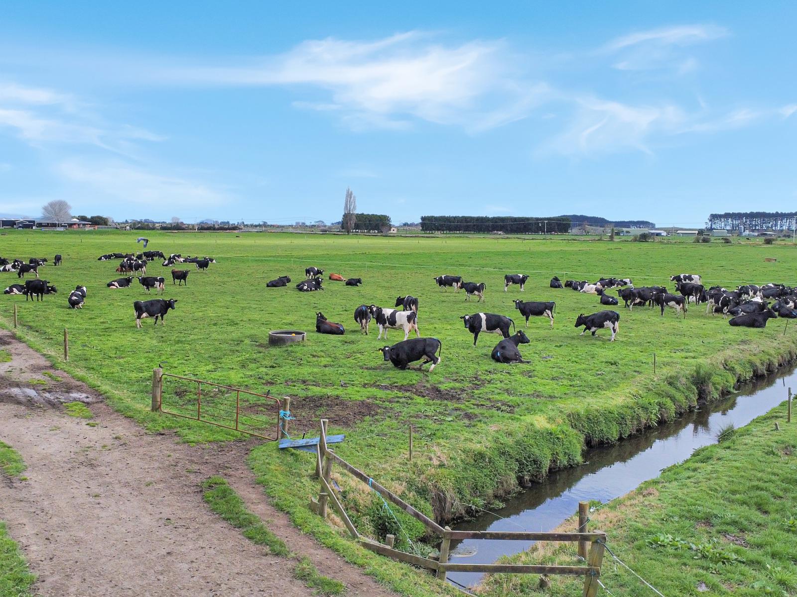 329 Kaituna Road, Paengaroa