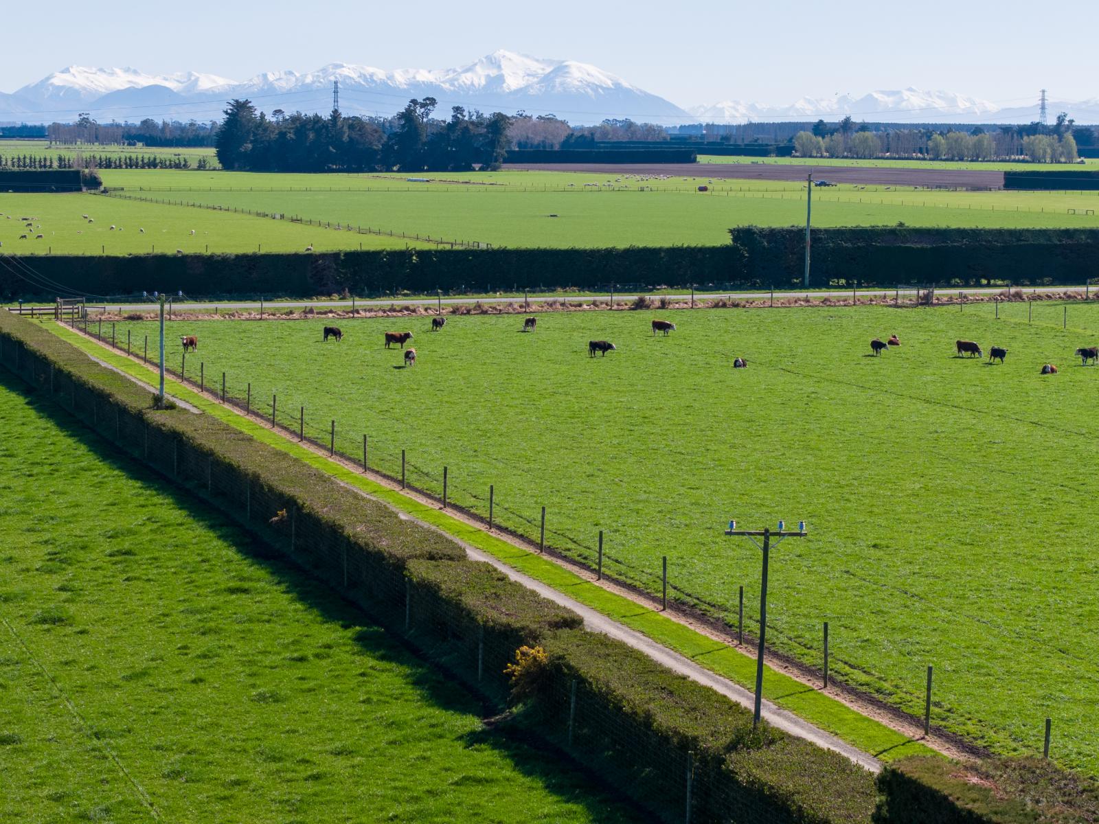 1467 Boundary Road, Ashburton