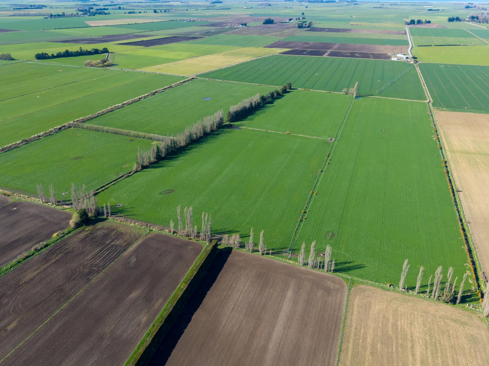 1467 Boundary Road, Ashburton