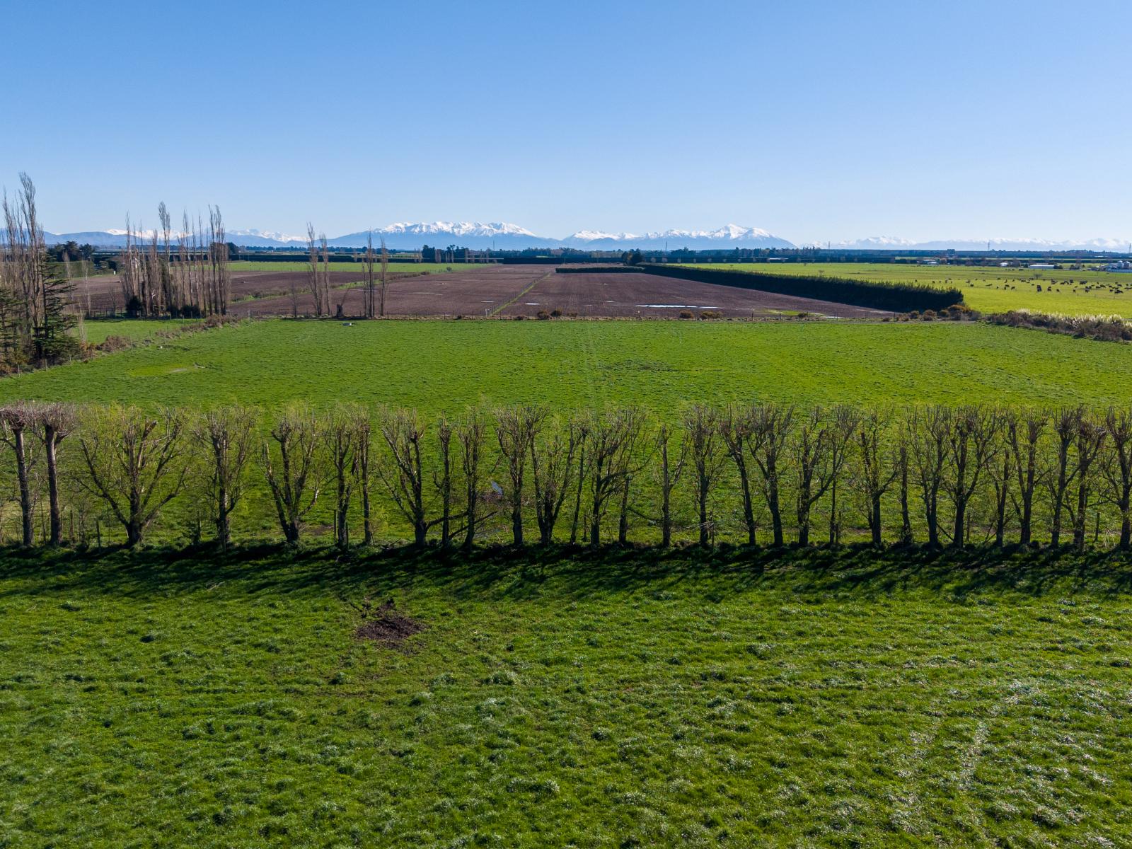 1467 Boundary Road, Ashburton