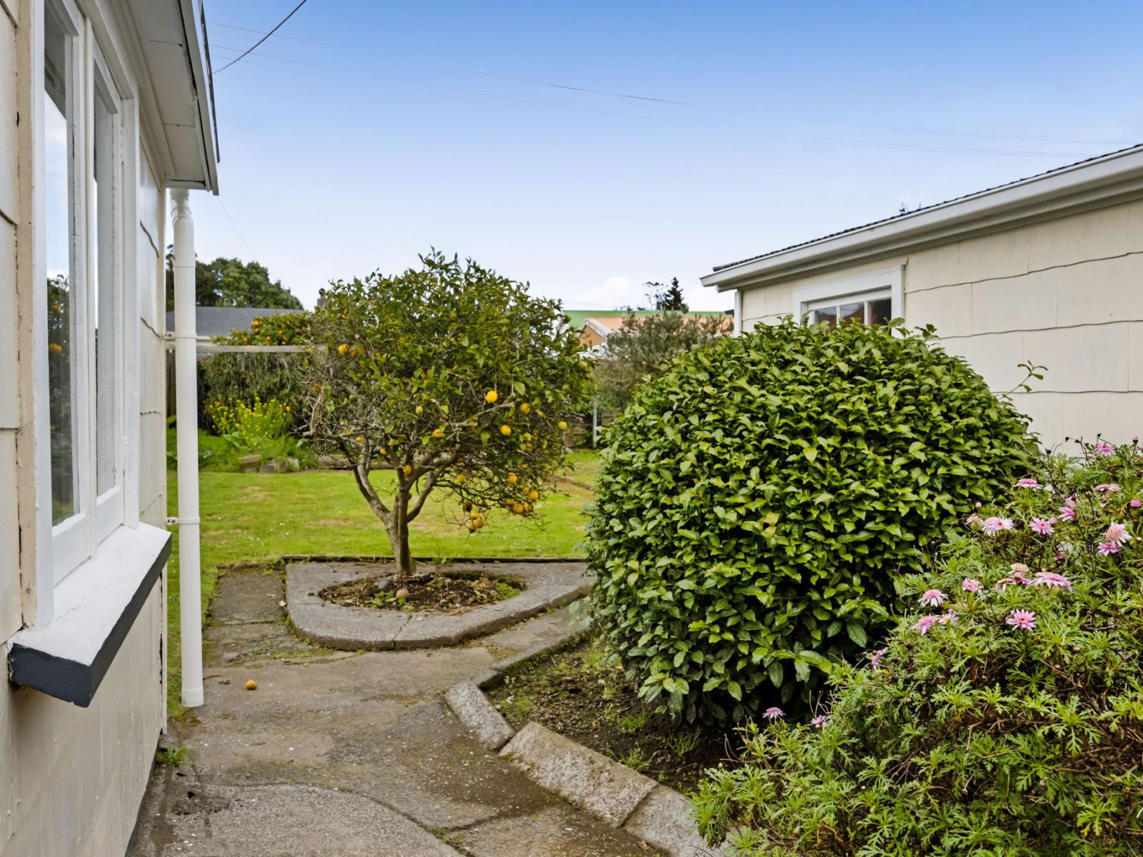 5 Raleigh Street, Vogeltown