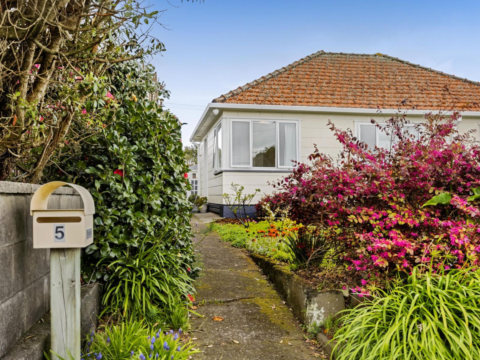 5 Raleigh Street, Vogeltown