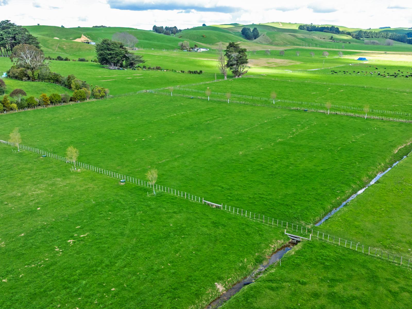 24 Chatham Street, Pahiatua