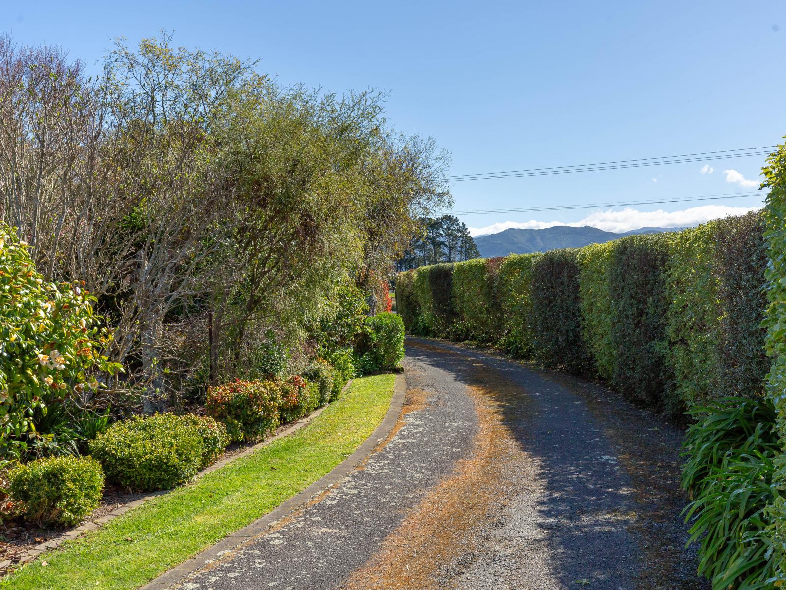 101 Lincoln Road, Carterton