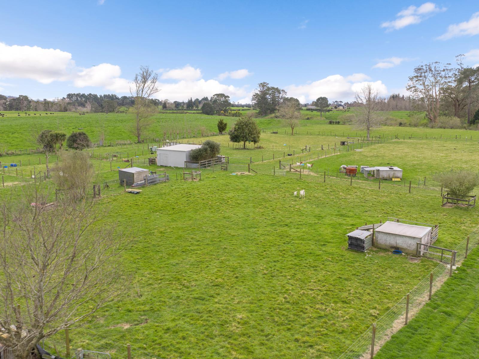 3660C State Highway 29, Te Poi