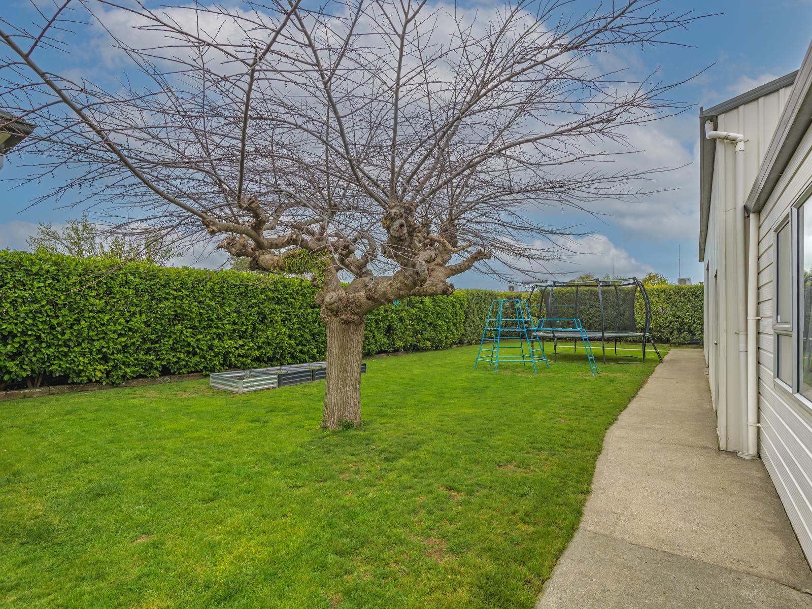 85 Chelwood Street, Takaro