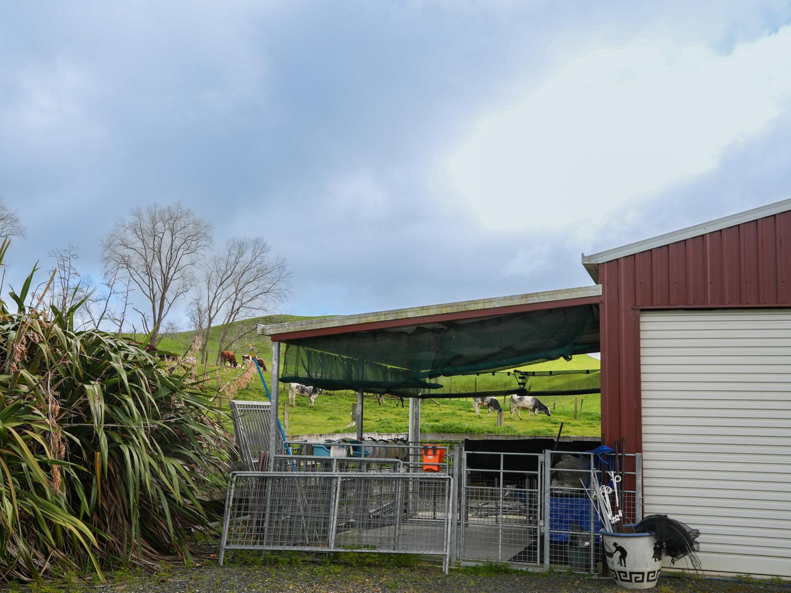 100 Paparamu Road, Piarere