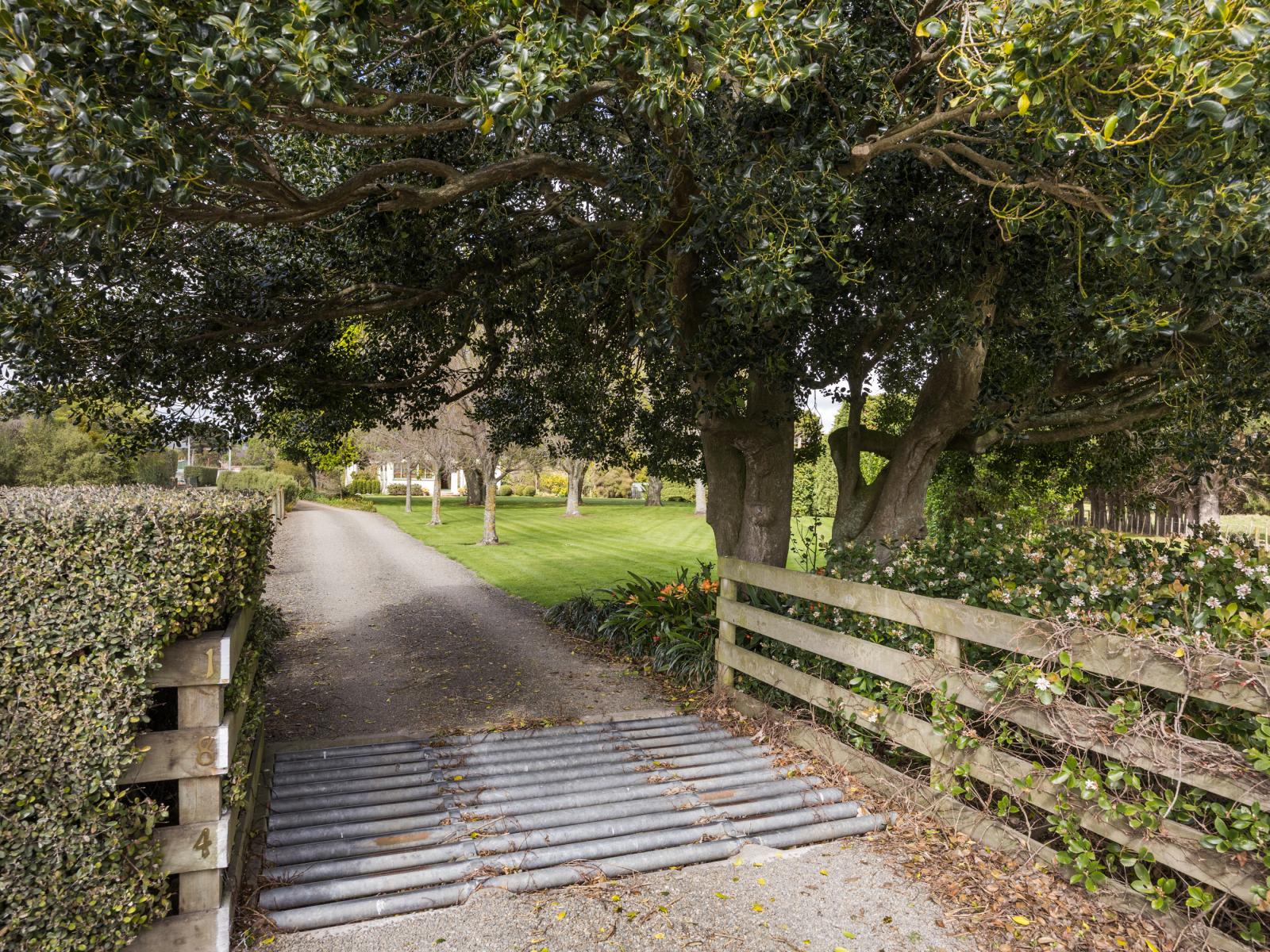 184 Te Matai Road, Whakarongo