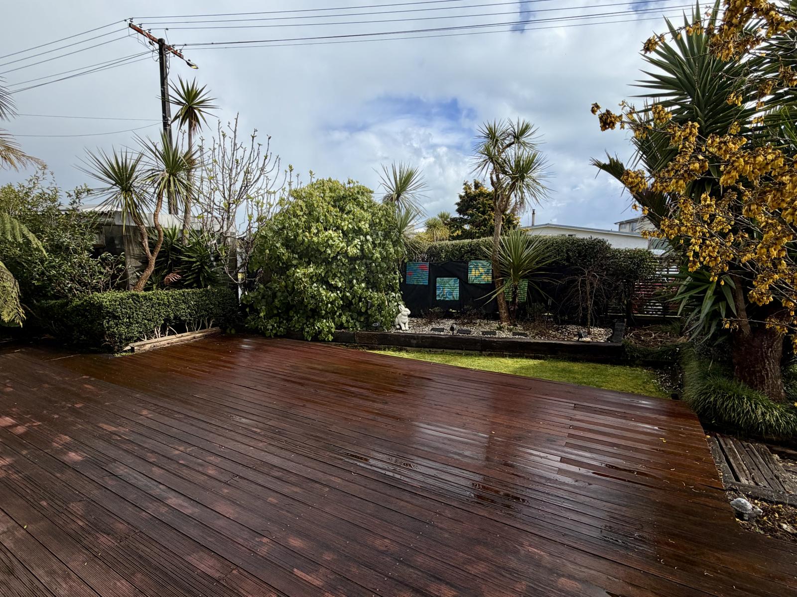 15 Cook Street, Carters Beach
