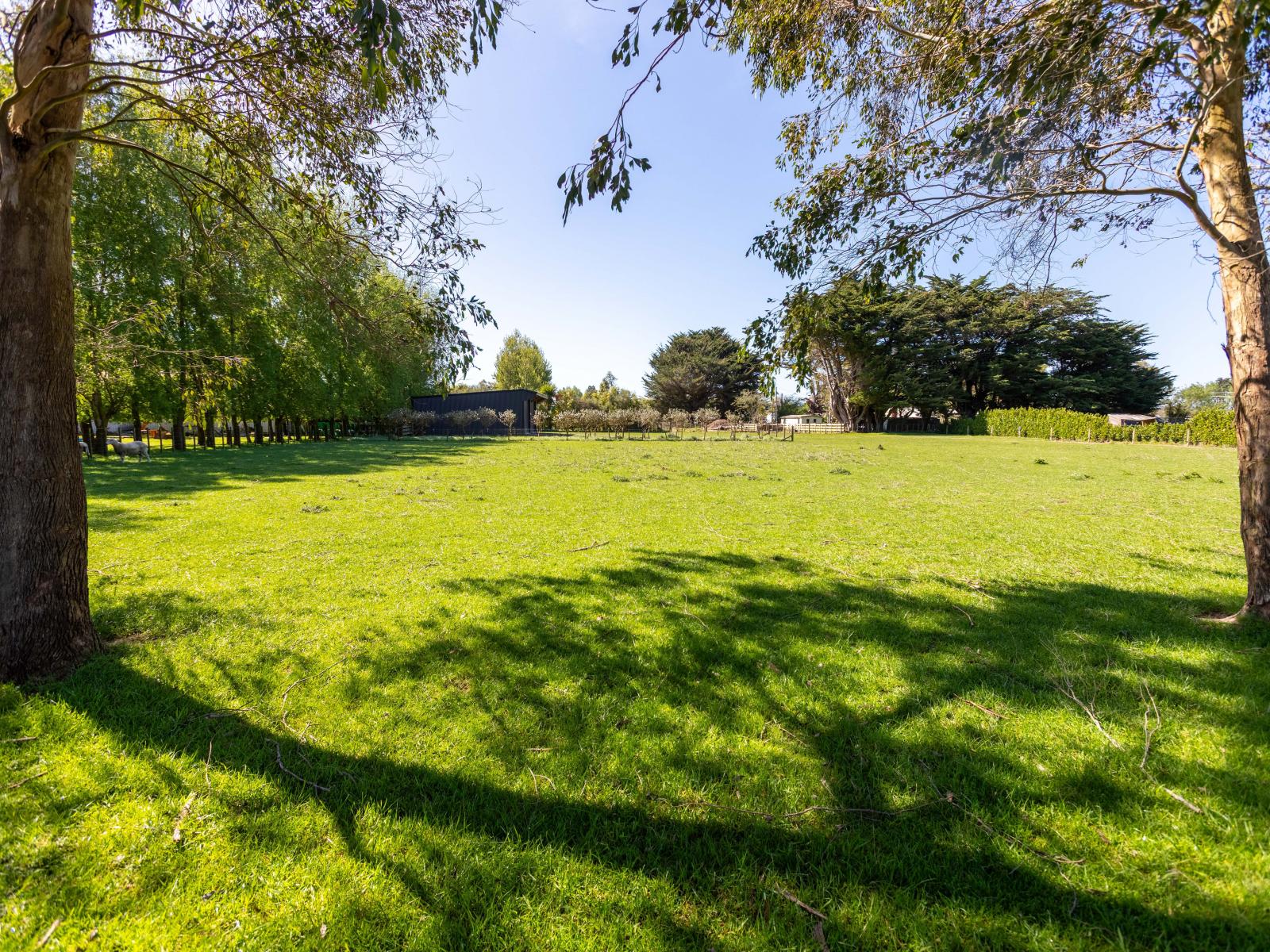 40 and 41 Mabel Street, Woodville