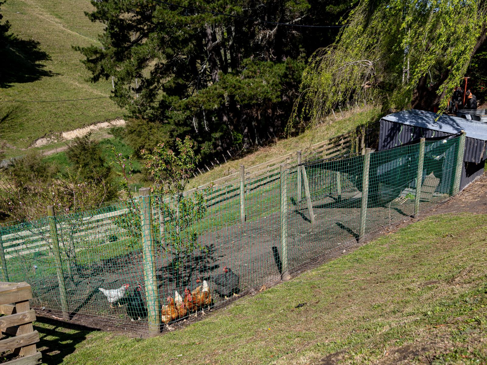 117 Eskdale Drive, Bay View