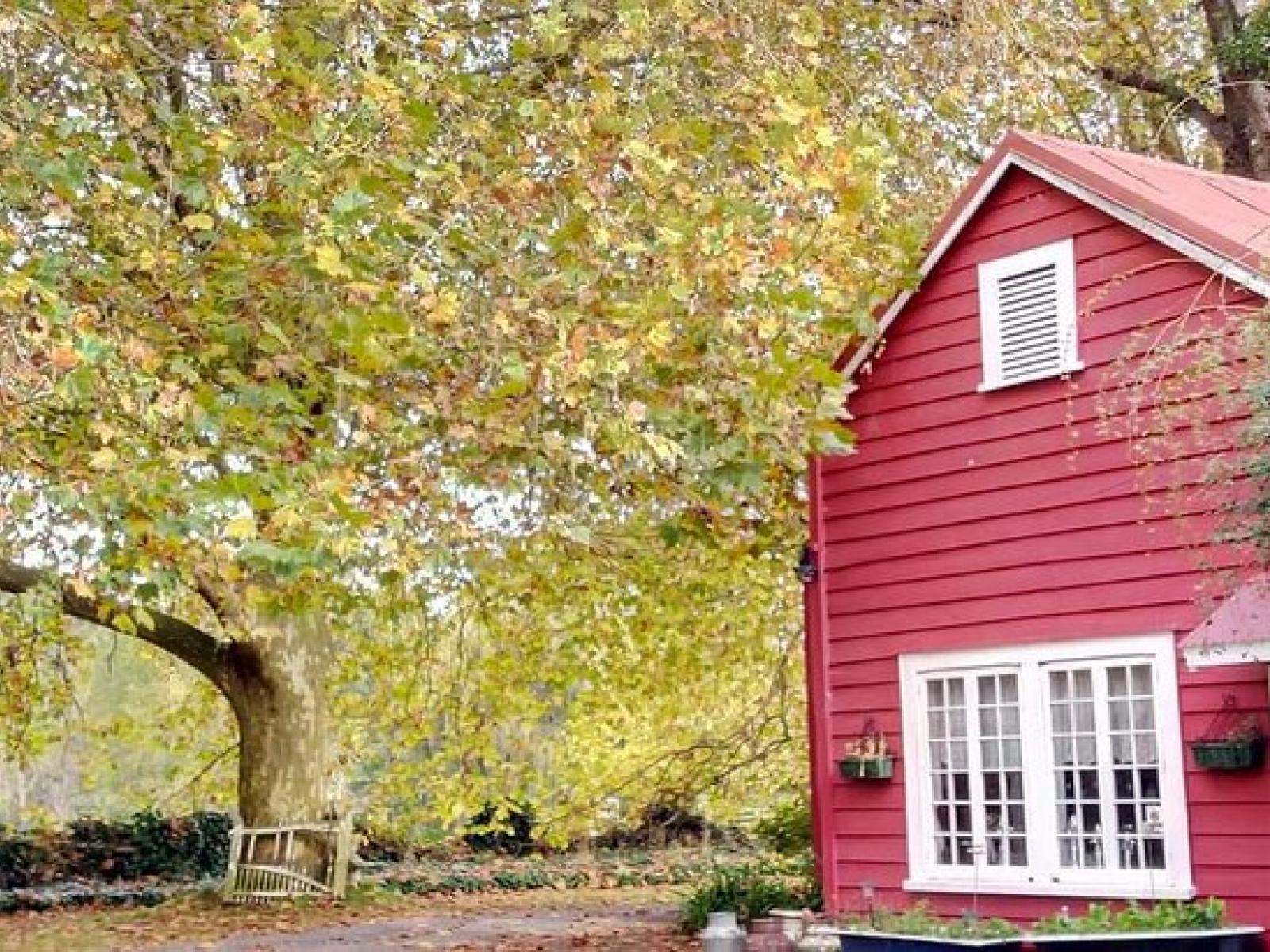 317 Kaipaki Road, Cambridge