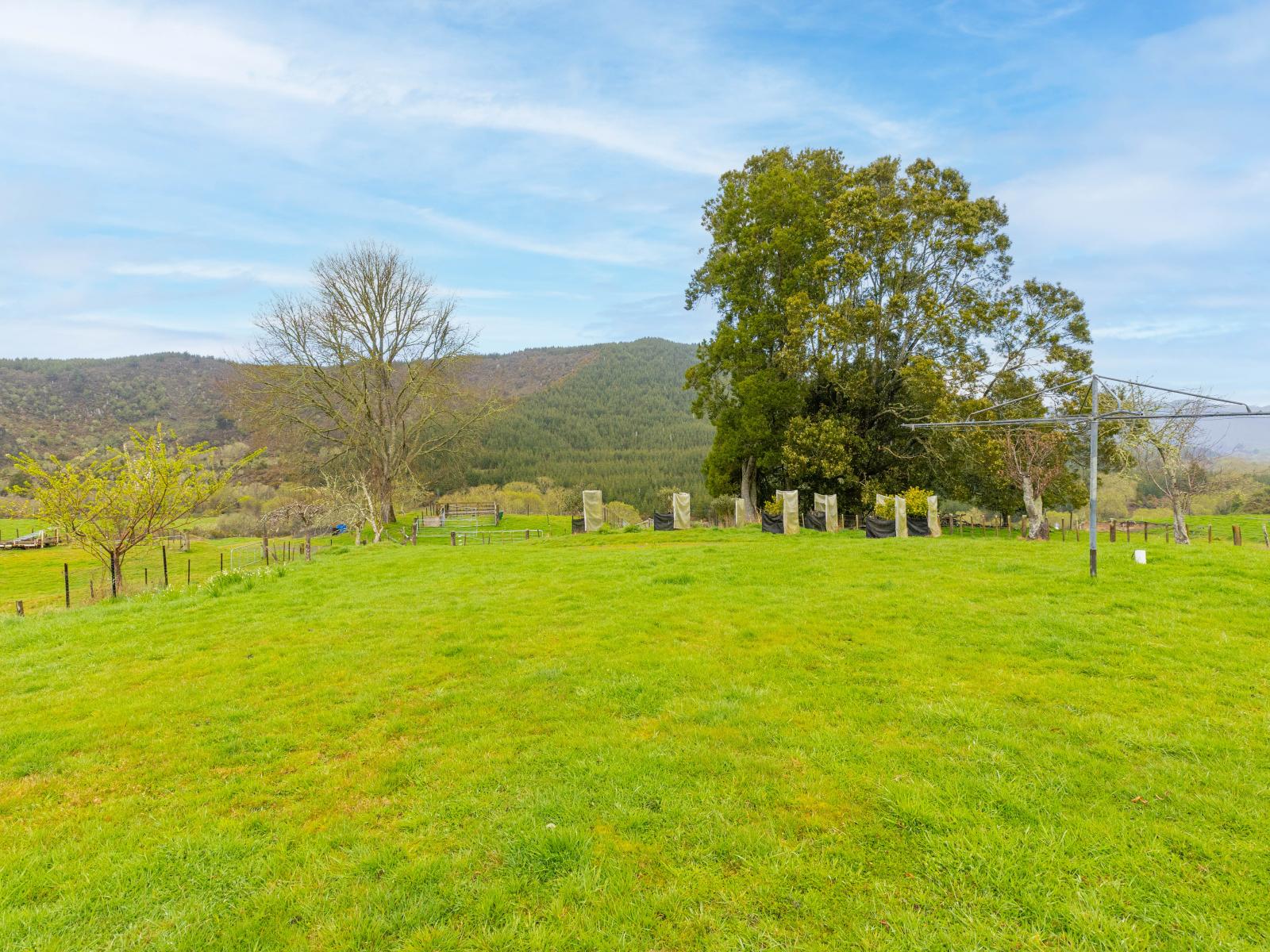 937 Ongarue-Waimiha Road, Waimiha