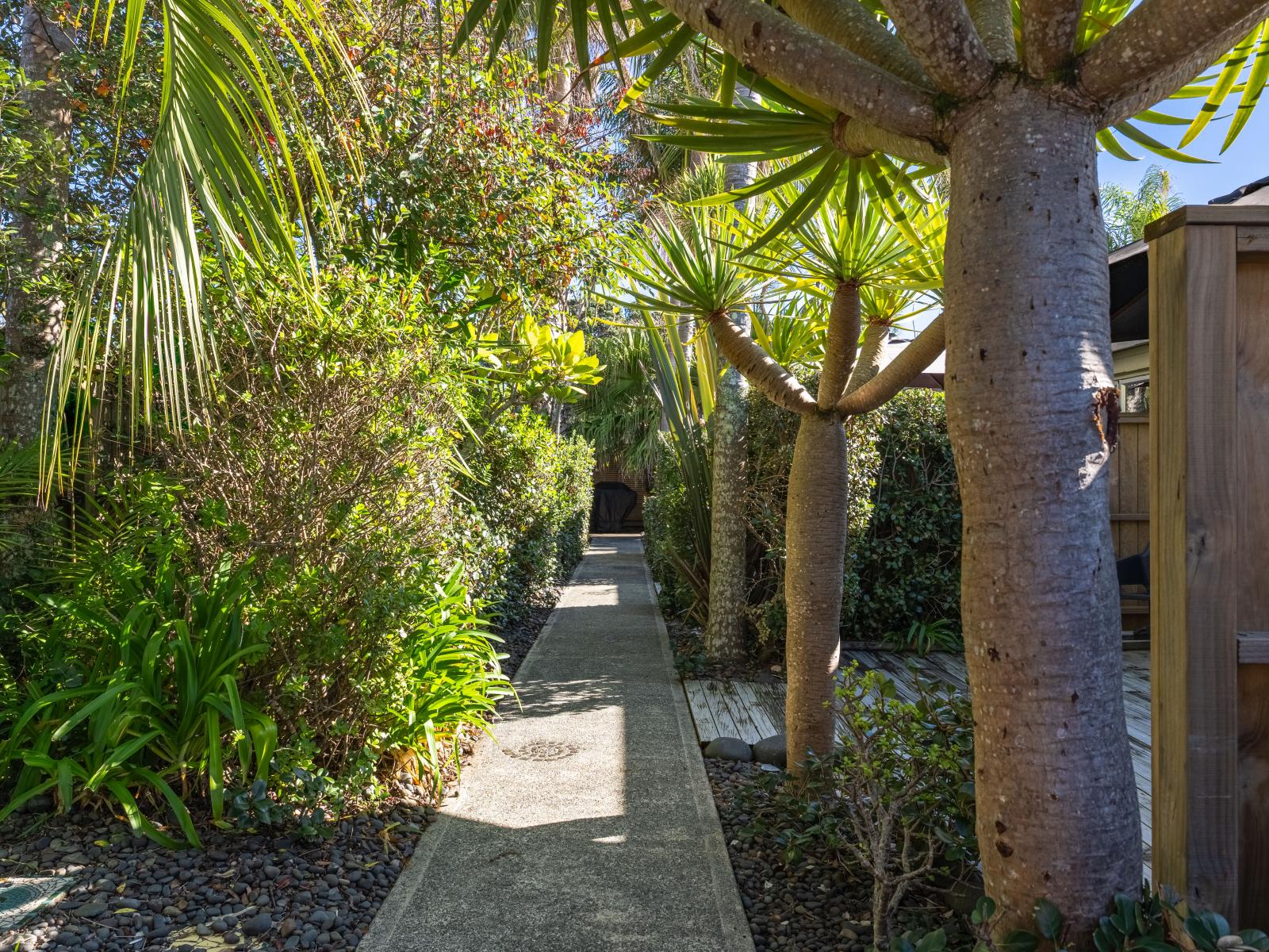 891 Cove Road, Waipu