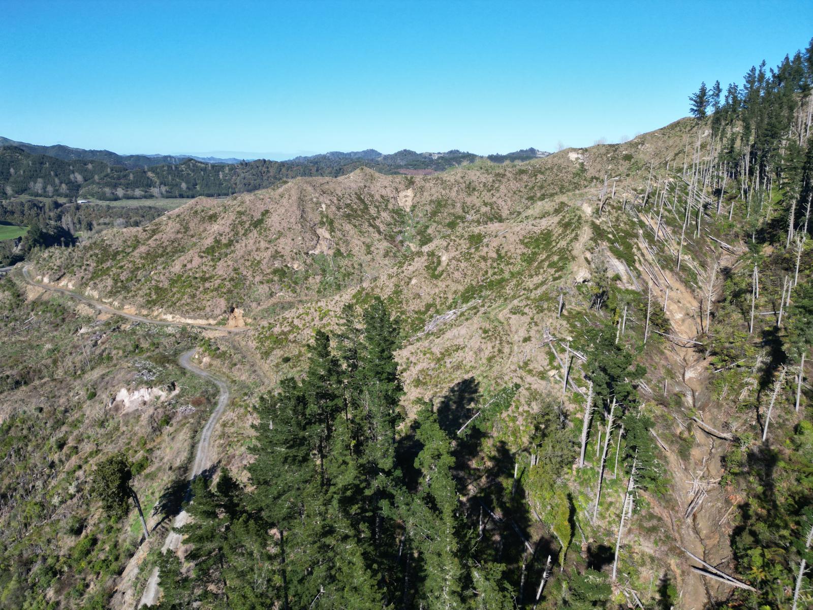 0 Cnr Whanganui River Road and Otunui South Road, Taumarunui