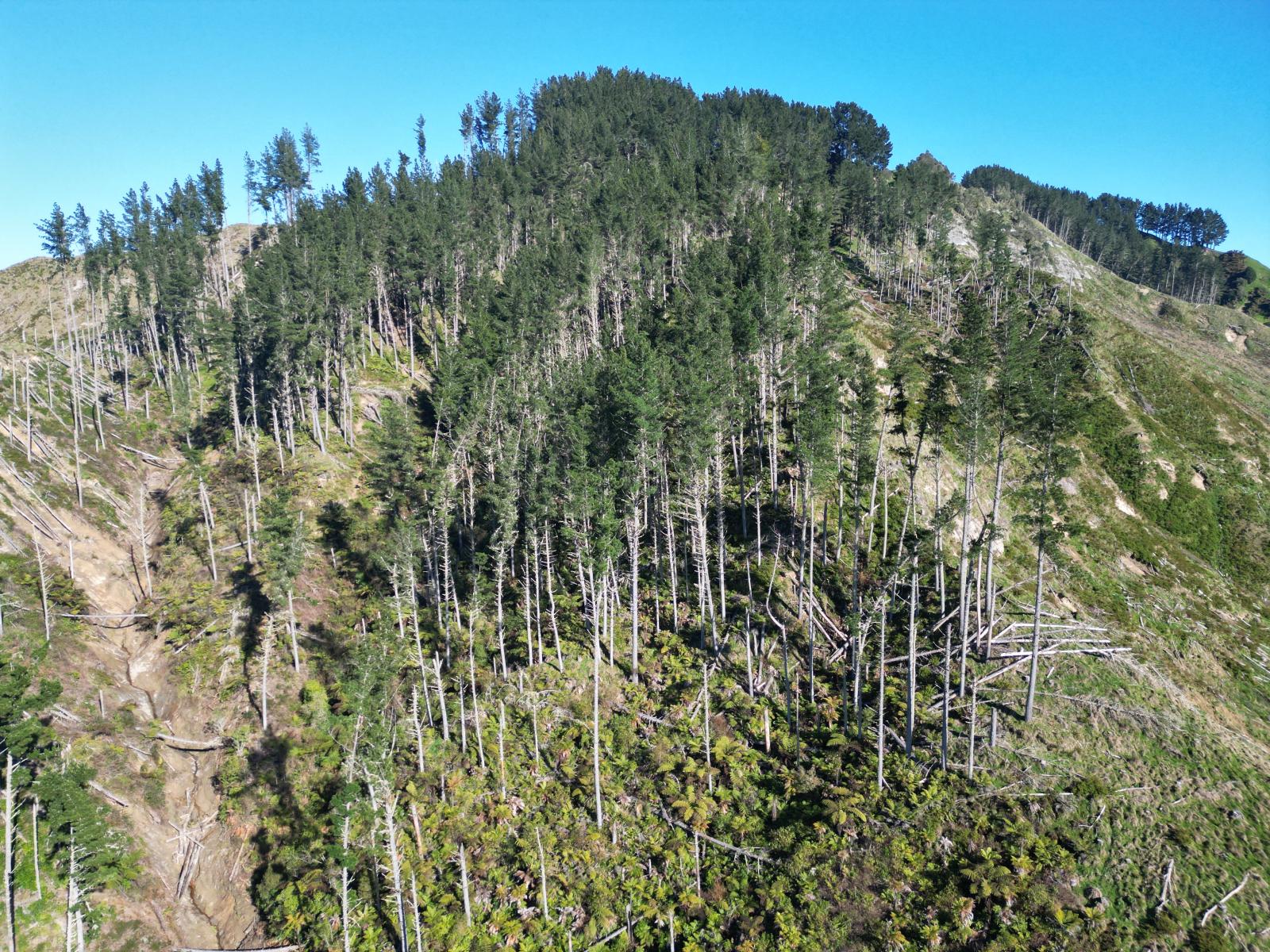 0 Cnr Whanganui River Road and Otunui South Road, Taumarunui