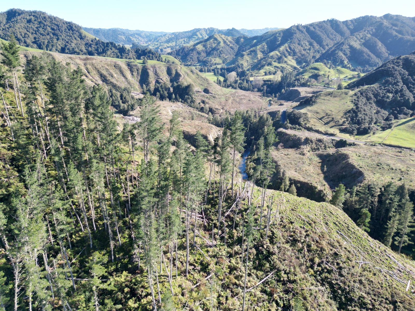0 Cnr Whanganui River Road and Otunui South Road, Taumarunui