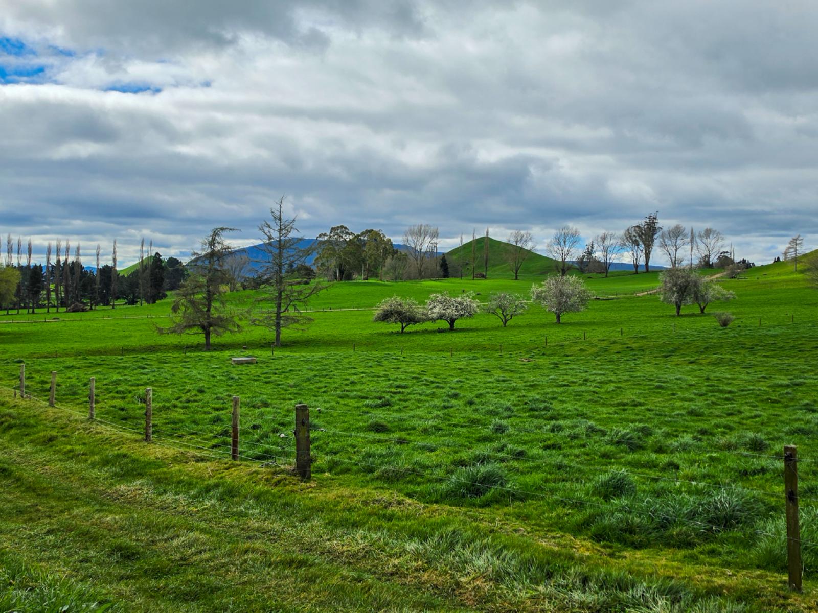 83 Brett Road, Rerewhakaaitu