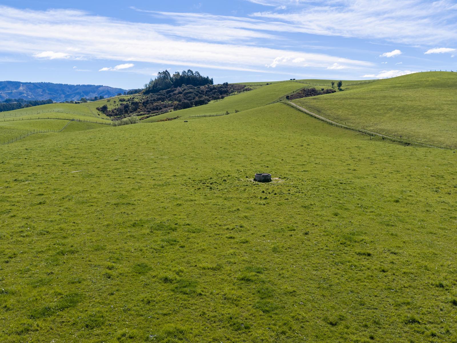 399 Gualter Road, Geraldine