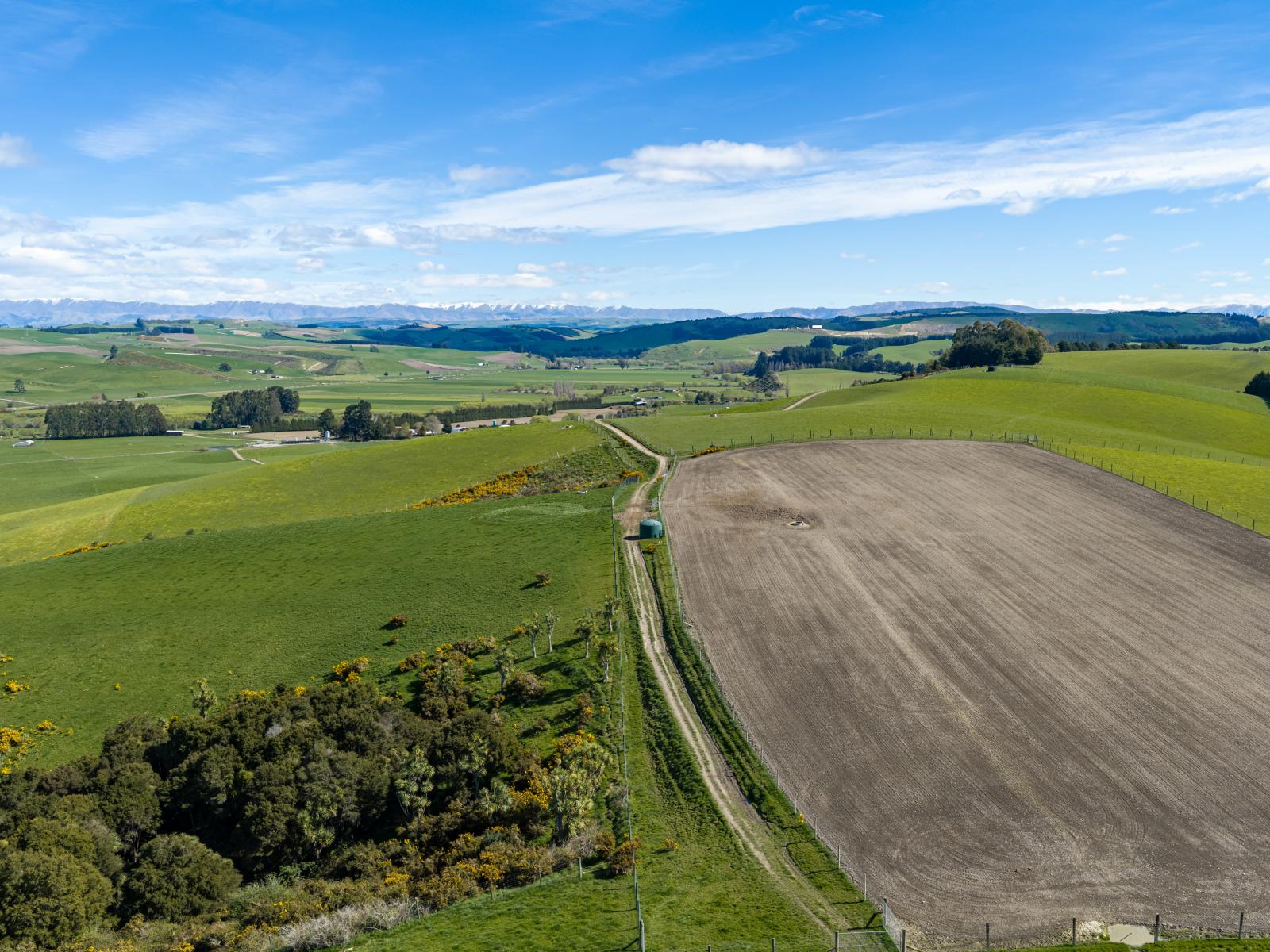 399 Gualter Road, Geraldine