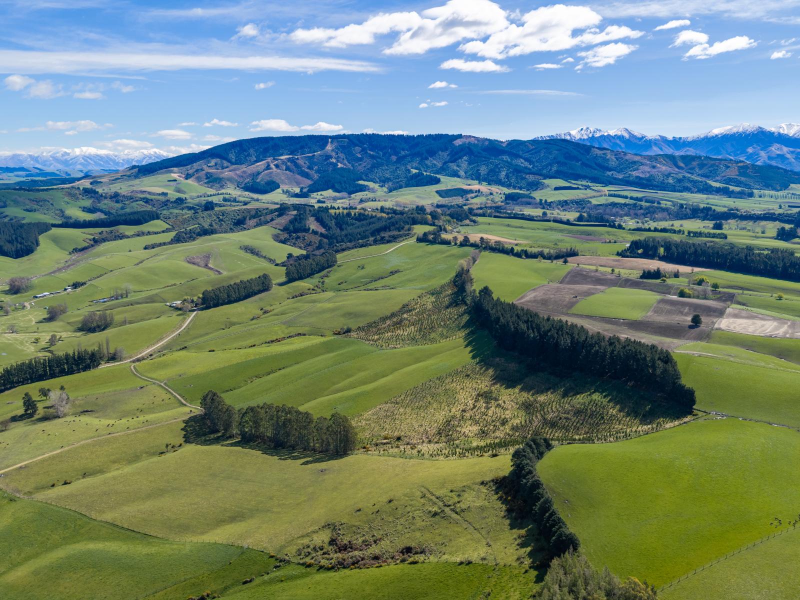 399 Gualter Road, Geraldine